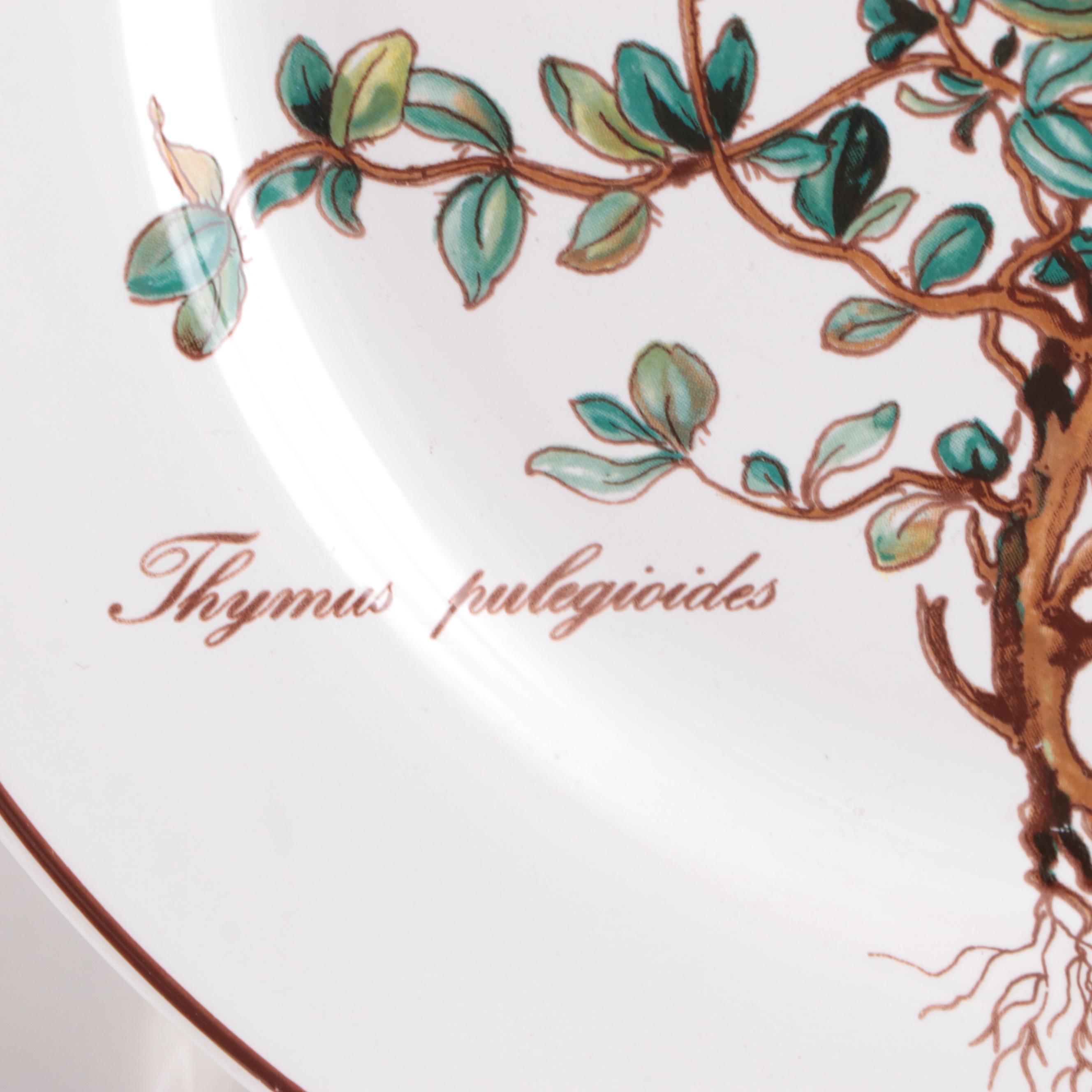 Villeroy & Boch "Botanica" Porcelain  Dinnerware