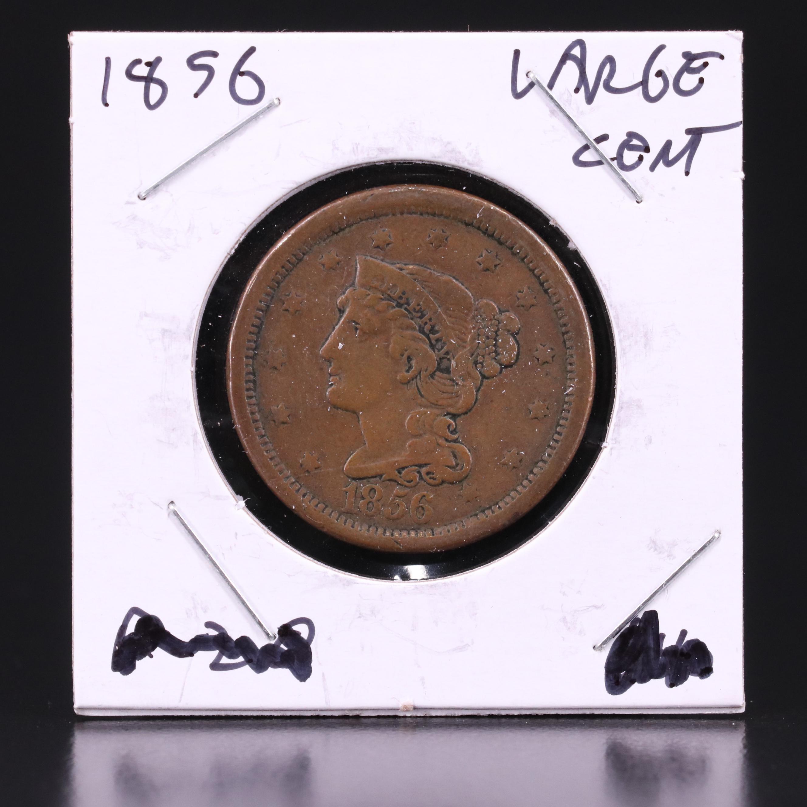 Six Braided Hair Large Cents