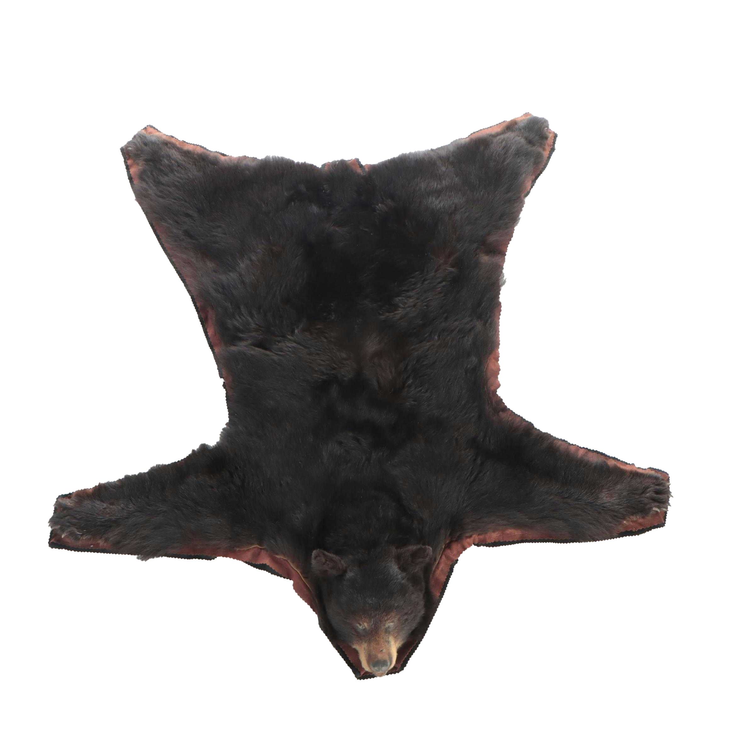American Black Bear Full Pelt Rug