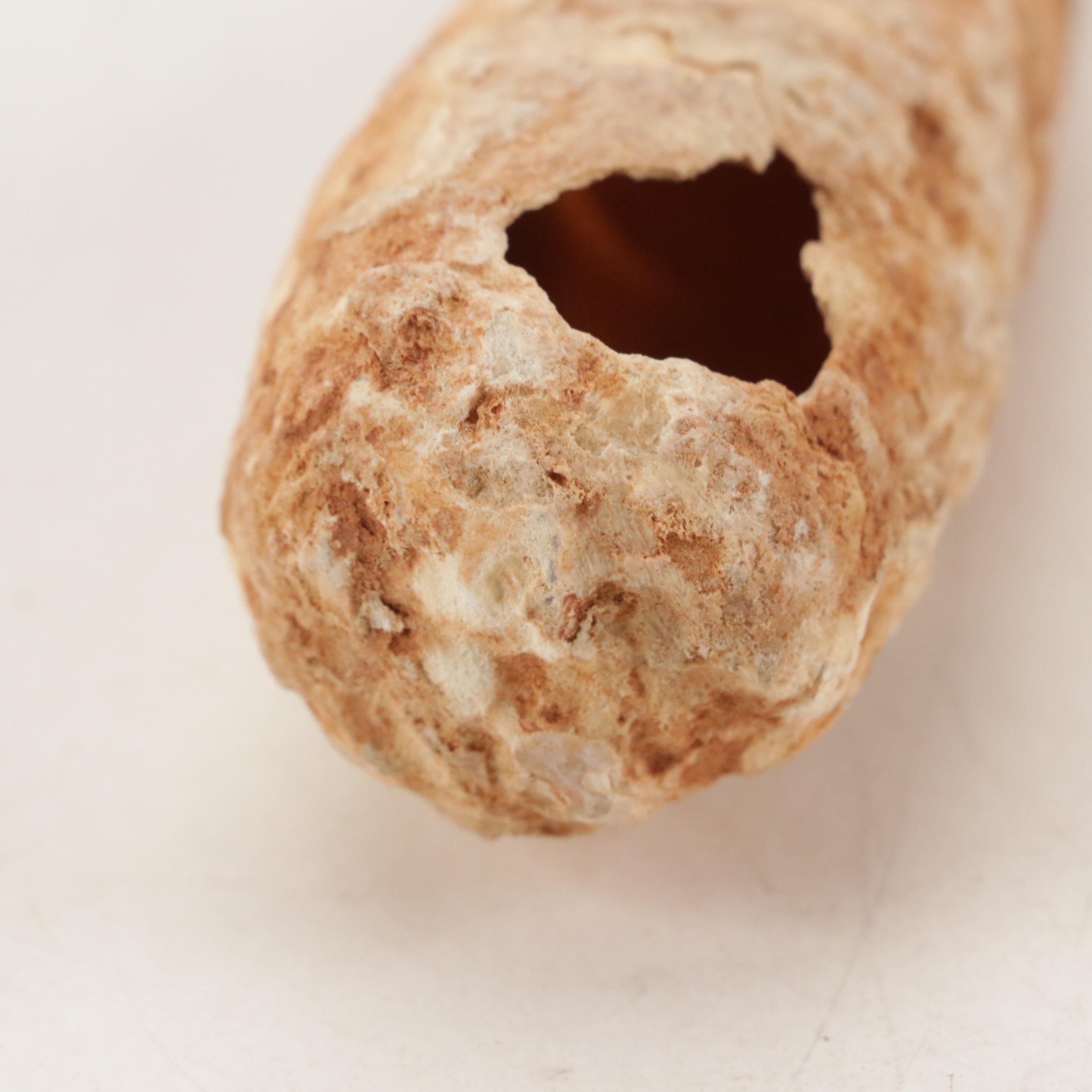 Egyptian Alabastron-Shaped Alabaster Vessel with Lug Handles, 1st Millennium BCE