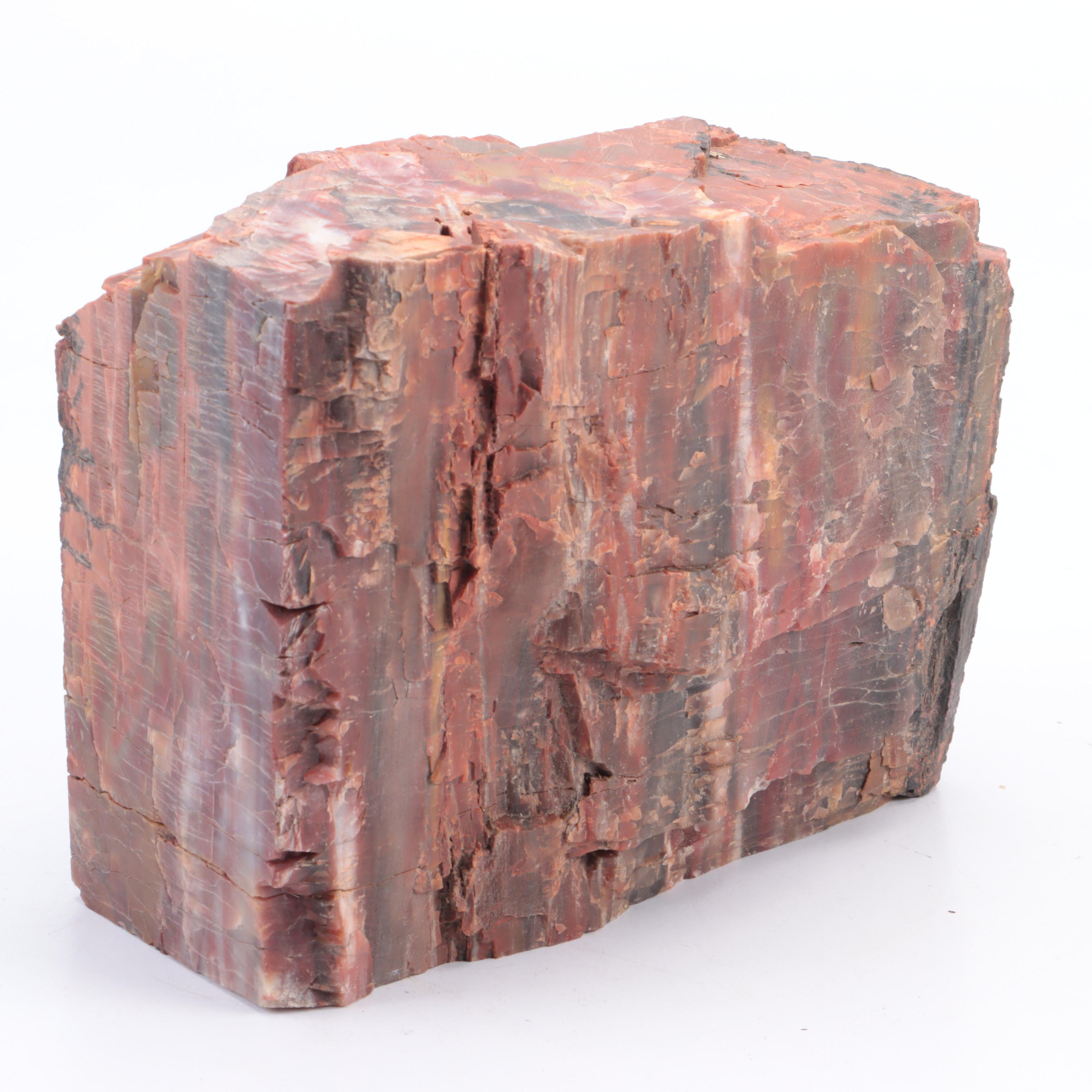 Cut and Polished Agatized Petrified Wood Specimens