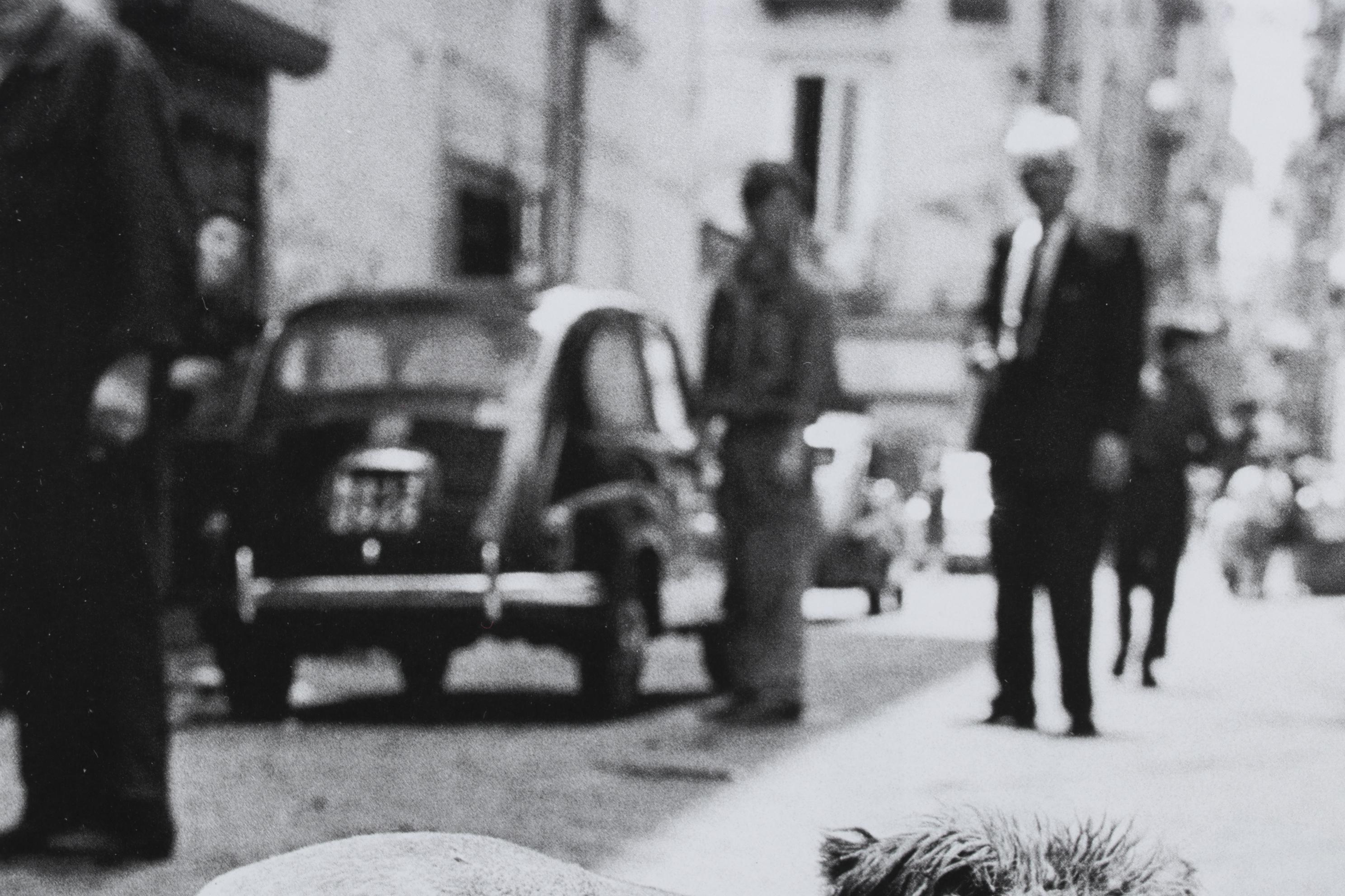 Elliott Erwitt Offset Lithograph "Rome" From "To the Dogs," 1964