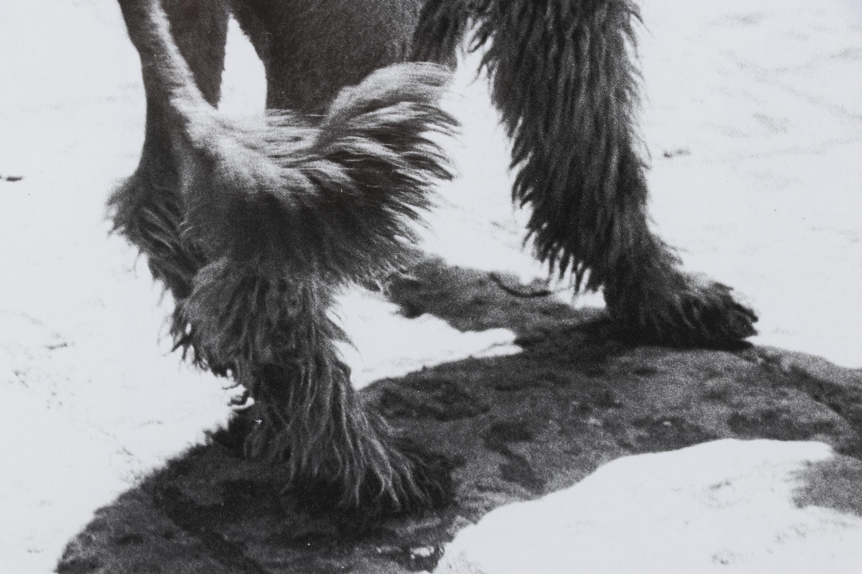 Elliott Erwitt Offset Lithograph "Rome" From "To the Dogs," 1964