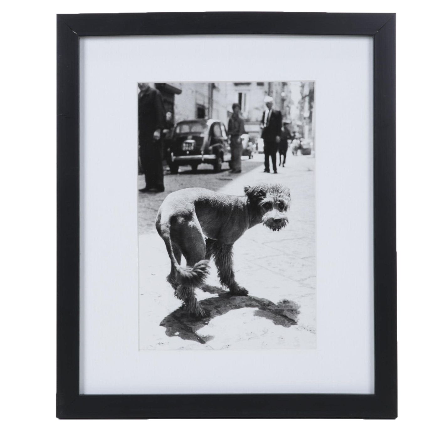 Elliott Erwitt Offset Lithograph "Rome" From "To the Dogs," 1964