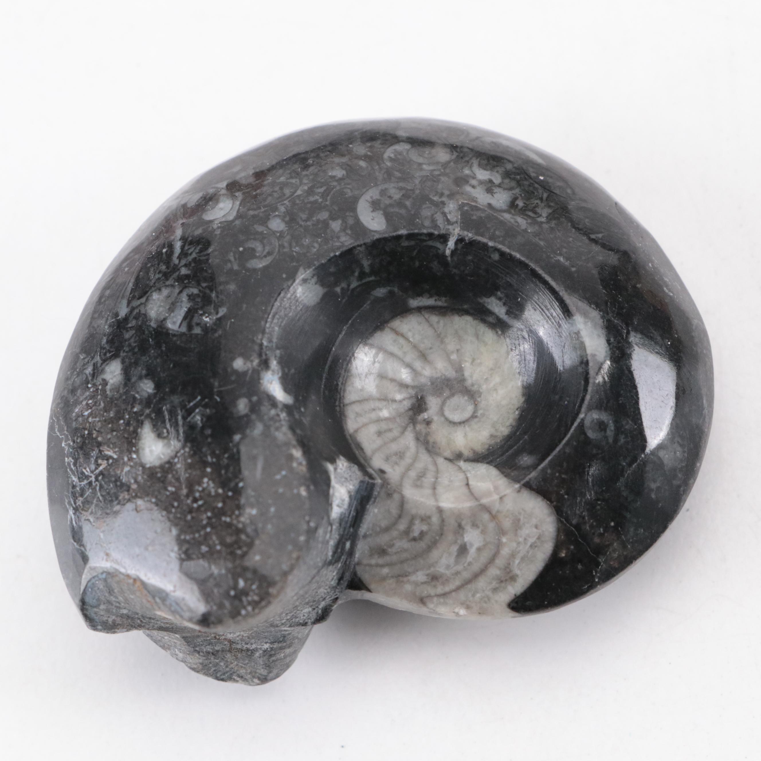 Hand Carved Stone Chalice with Malachite, Emerald and Other Mineral Specimens