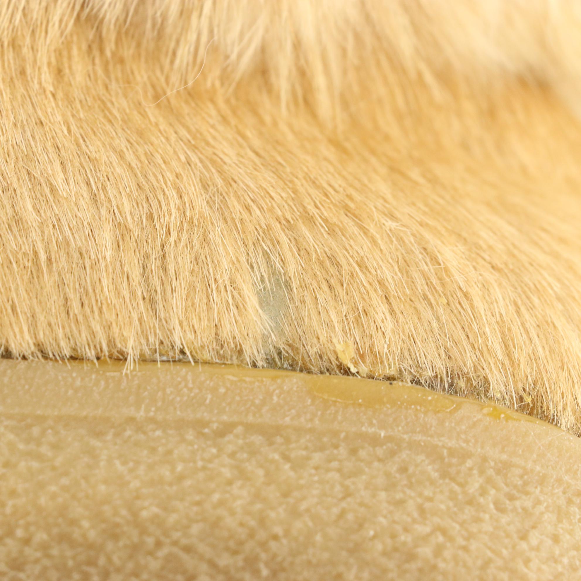 Tecnica Winter Boots in Tan Goat Fur