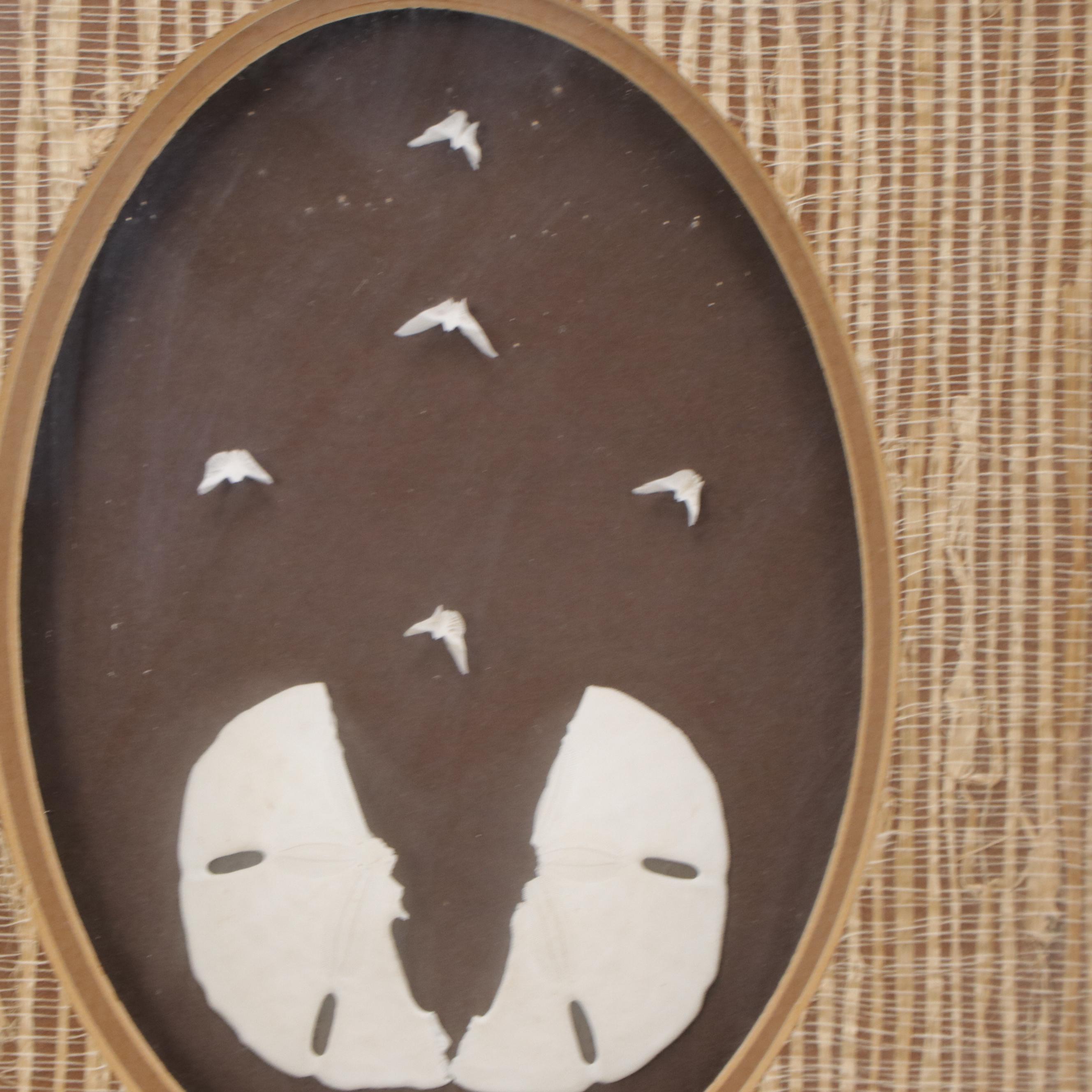 "The Legend of the Sand Dollar" Mounted Sand Dollar with Poem