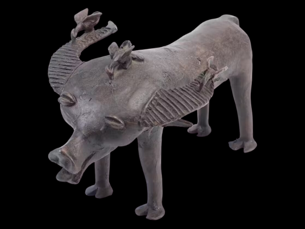 Global Discoveries and Travel Finds