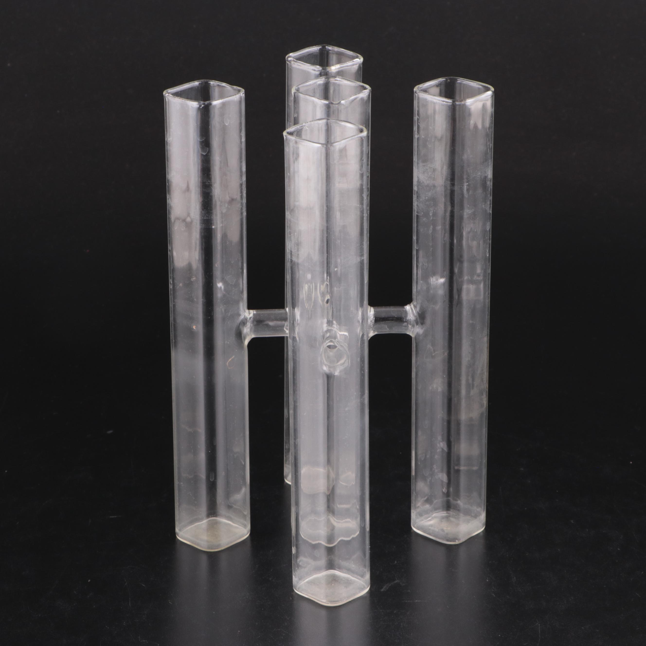 Glass Test Tube Vases in Metal Stand with Propogation and Other Glass Vases