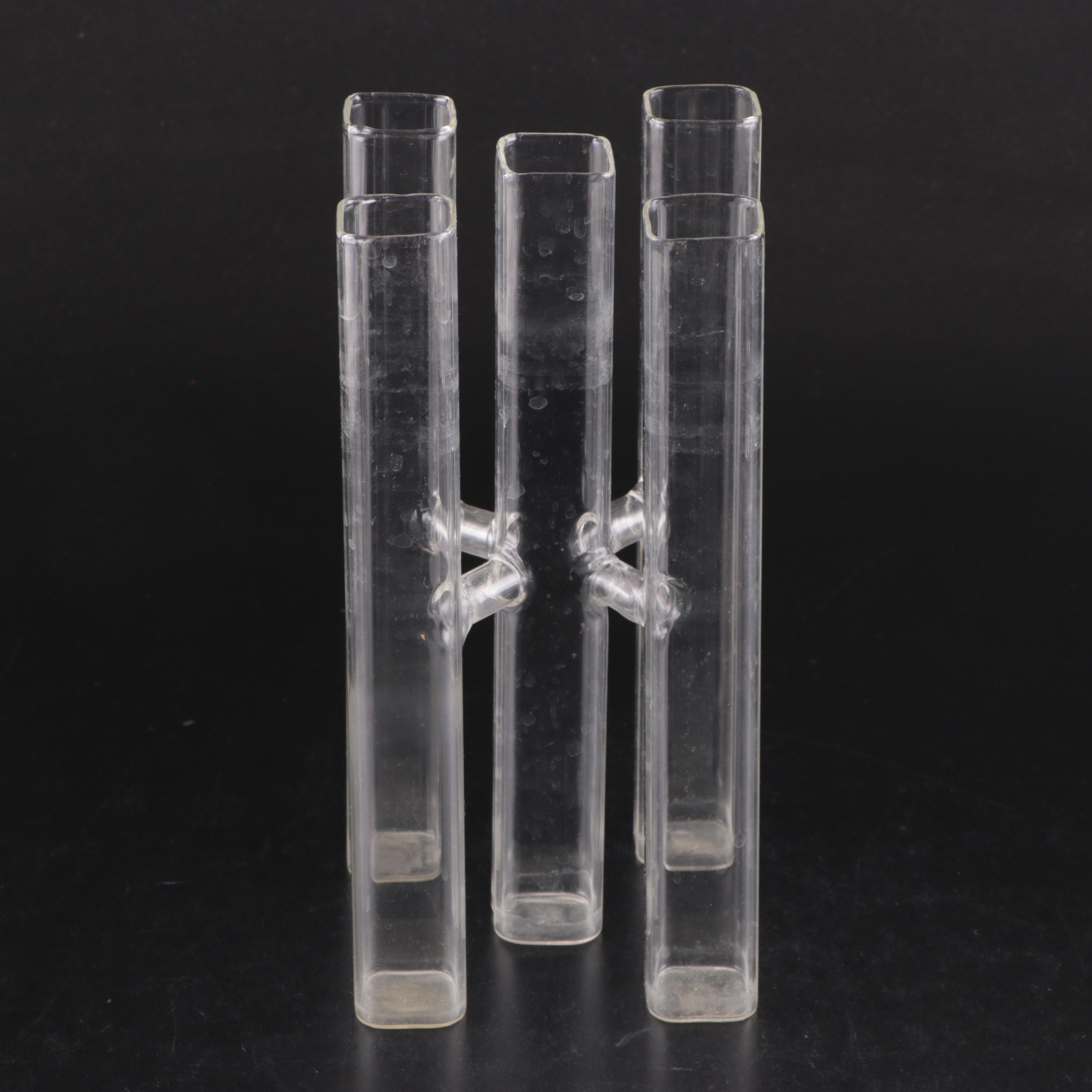 Glass Test Tube Vases in Metal Stand with Propogation and Other Glass Vases