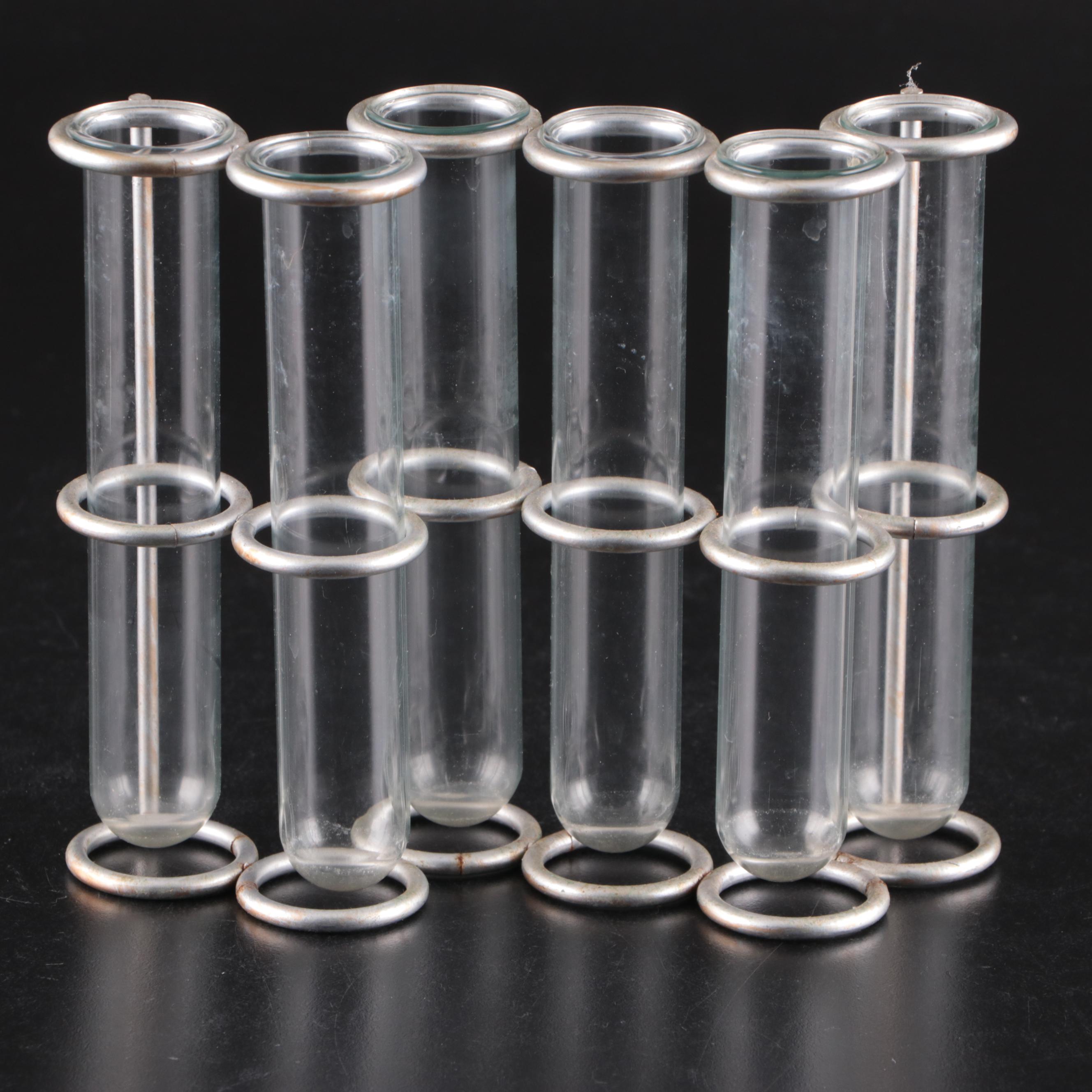 Glass Test Tube Vases in Metal Stand with Propogation and Other Glass Vases