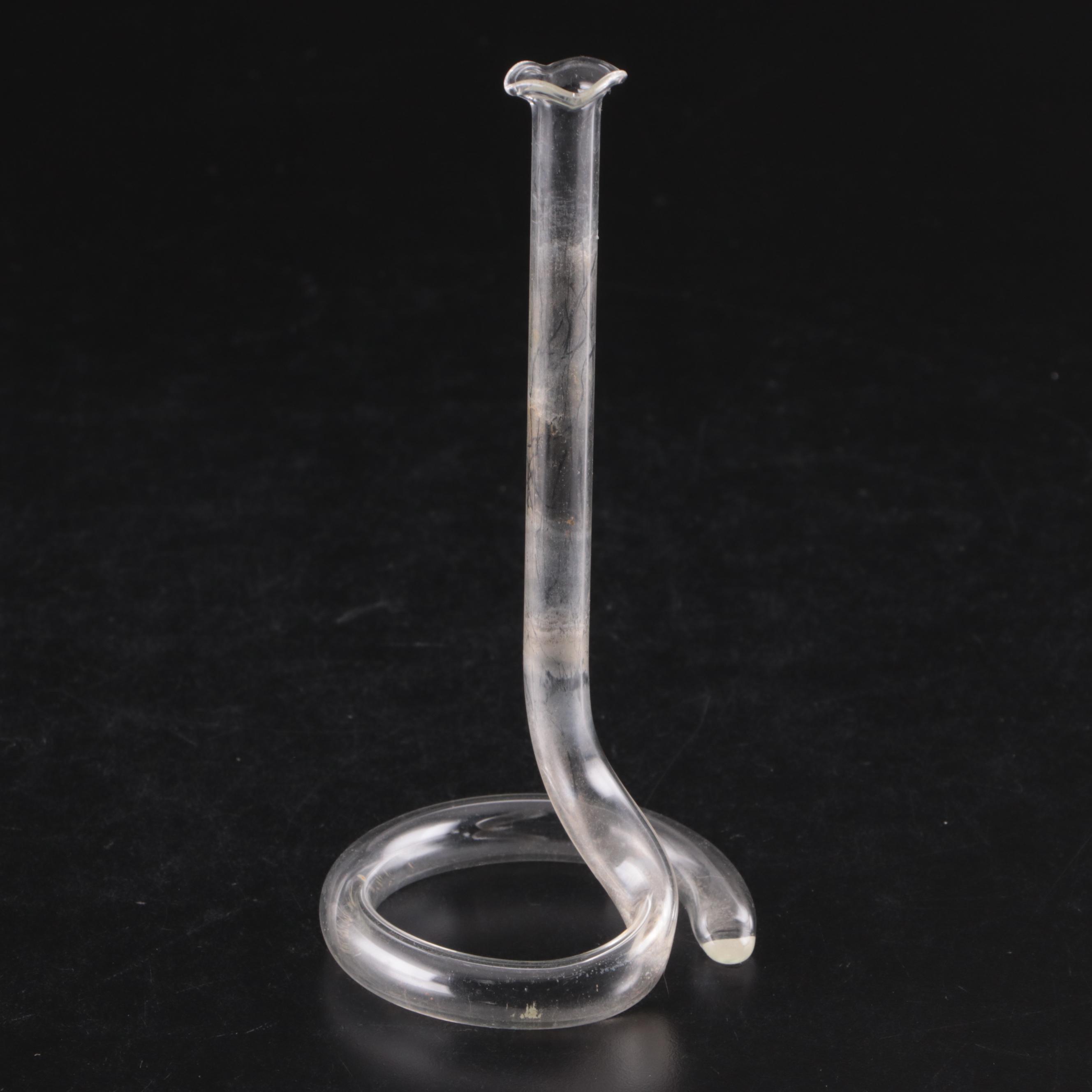 Glass Test Tube Vases in Metal Stand with Propogation and Other Glass Vases