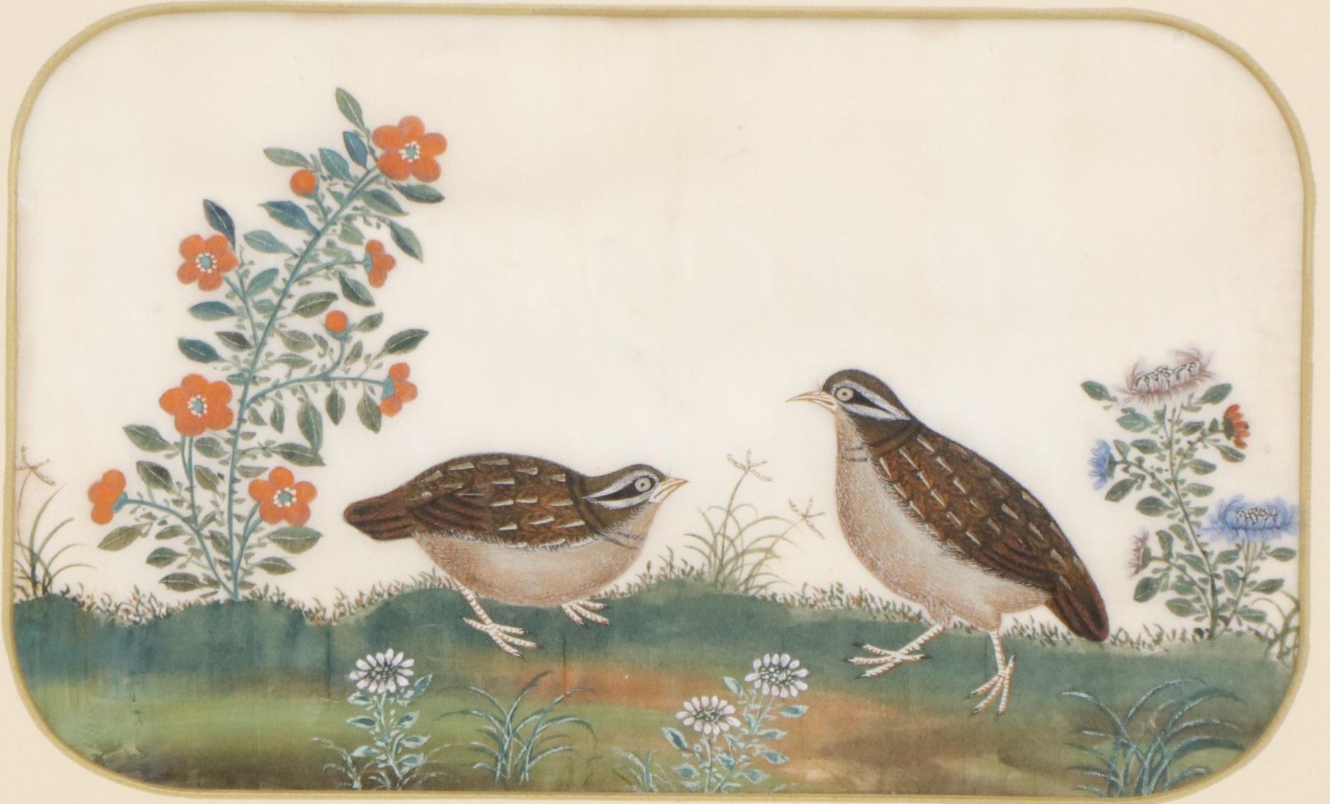 Antique Chinese Pith Painting of Quail, 19th Century