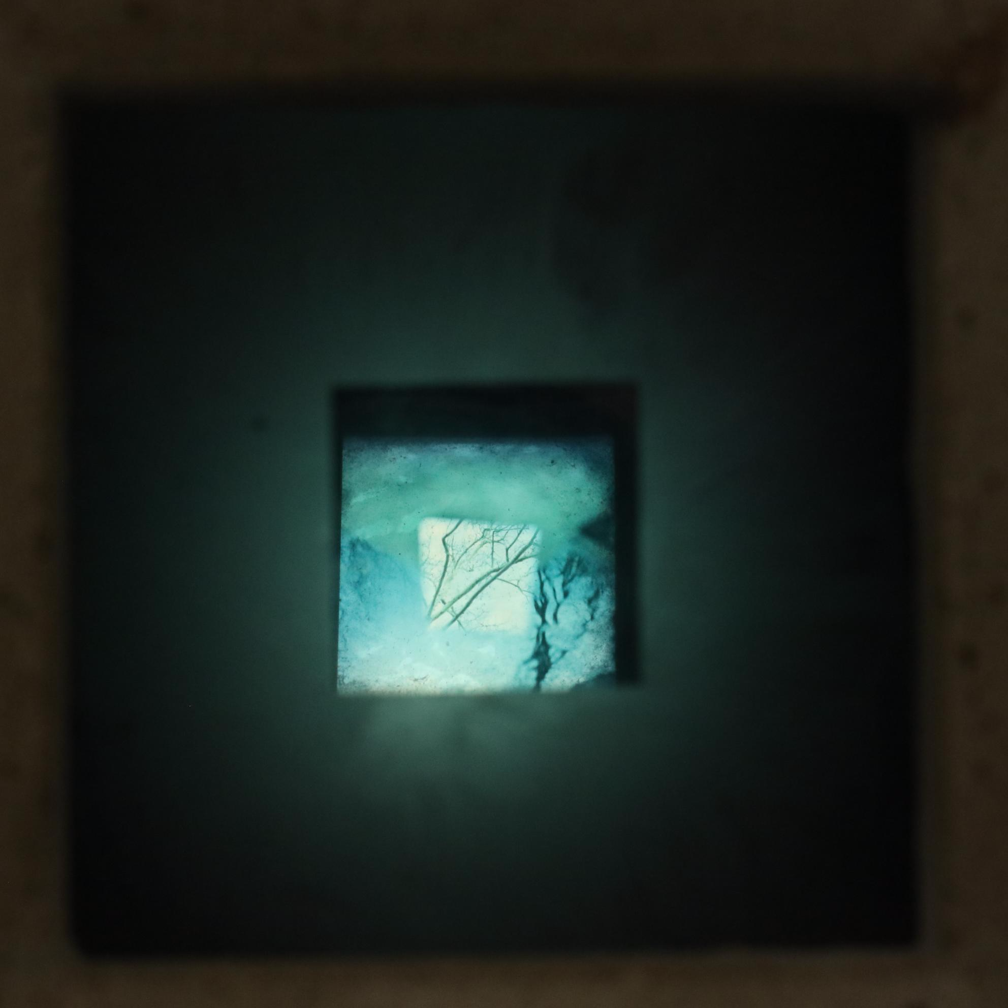 Mixed Media Light Box Sculpture