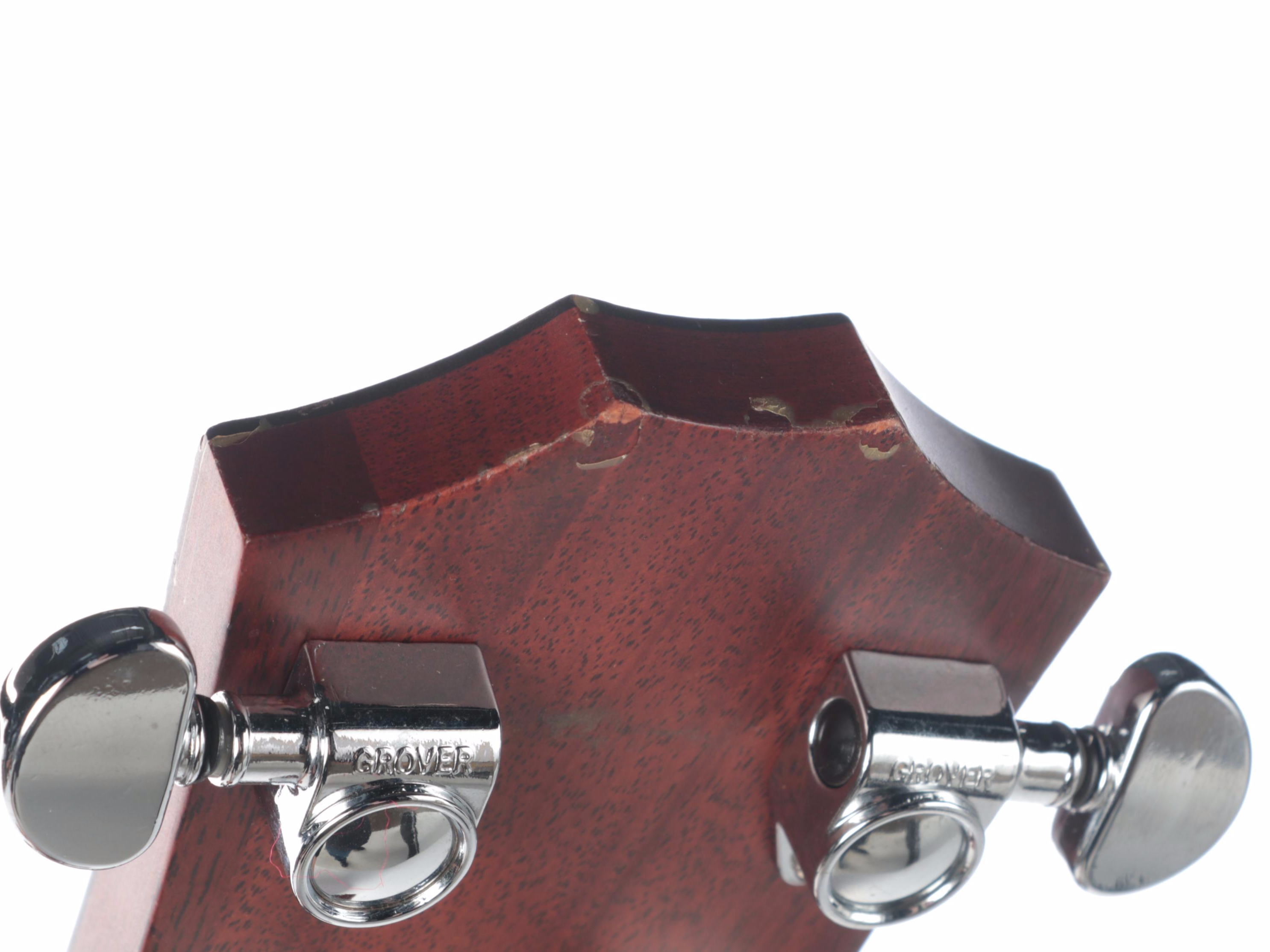 Taylor Acoustic-Electric Guitar with Hard Shell Case