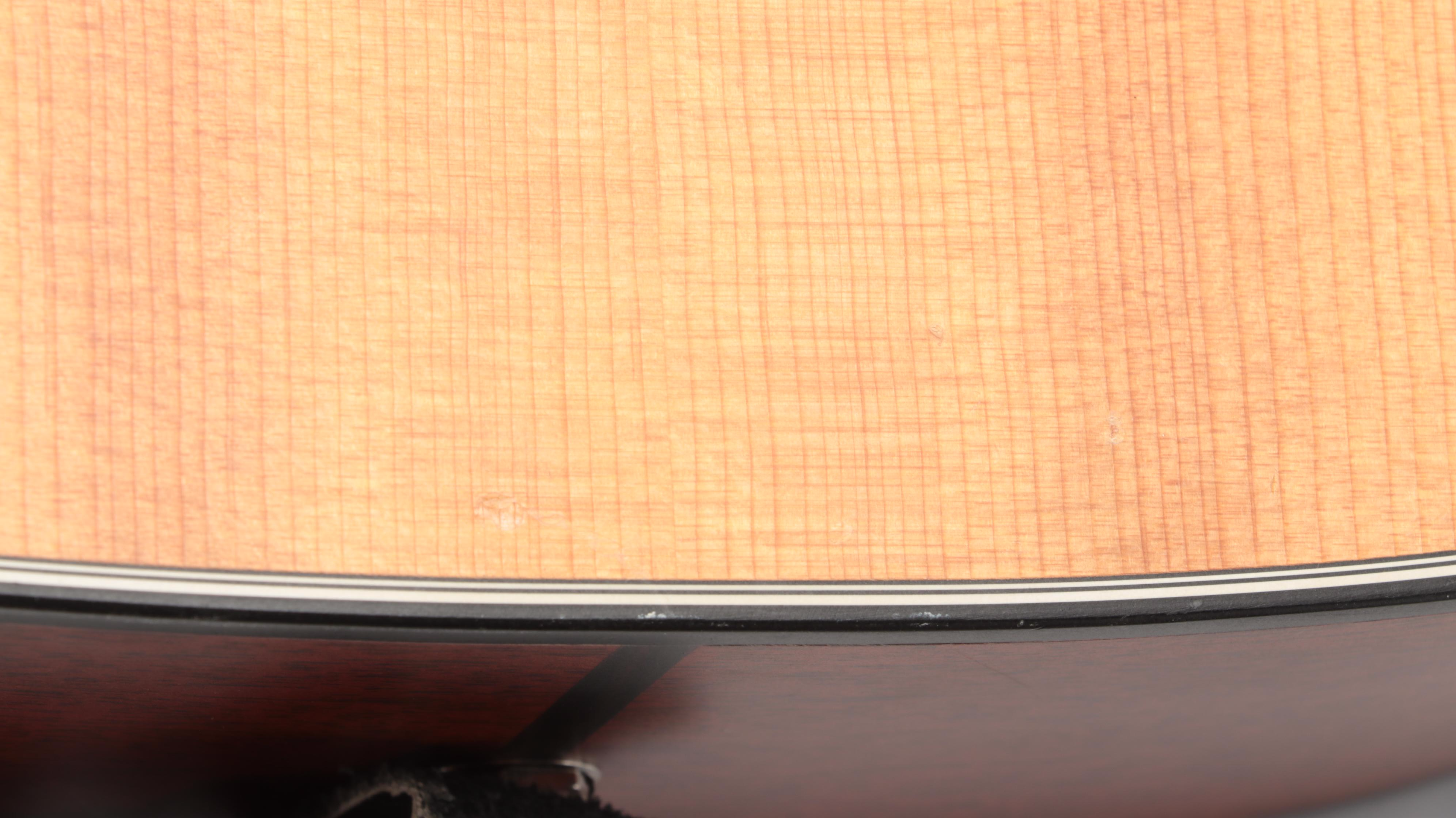 Taylor Acoustic-Electric Guitar with Hard Shell Case