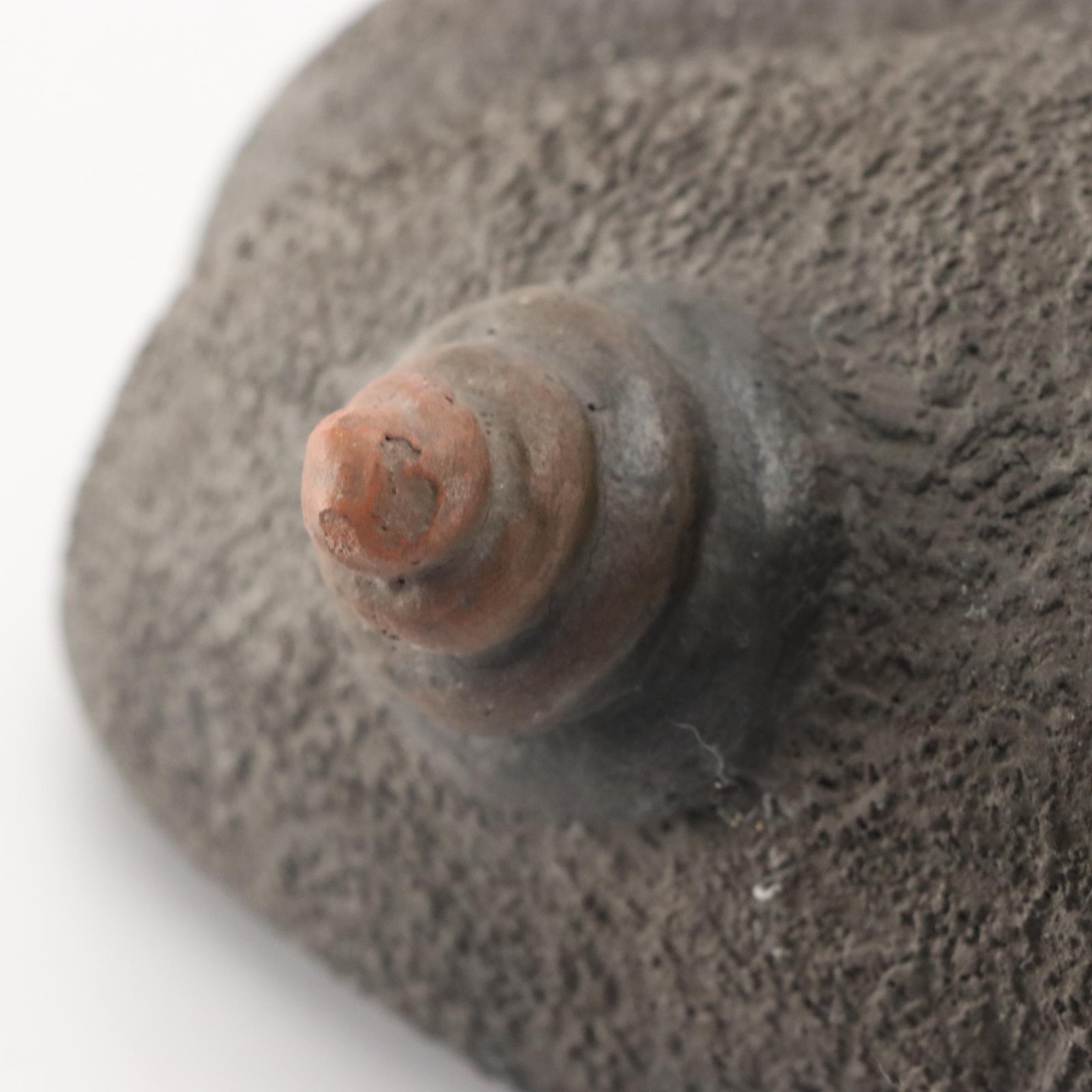 Hand-built Raku Fired Ceramic Sculpture with Raised Cones