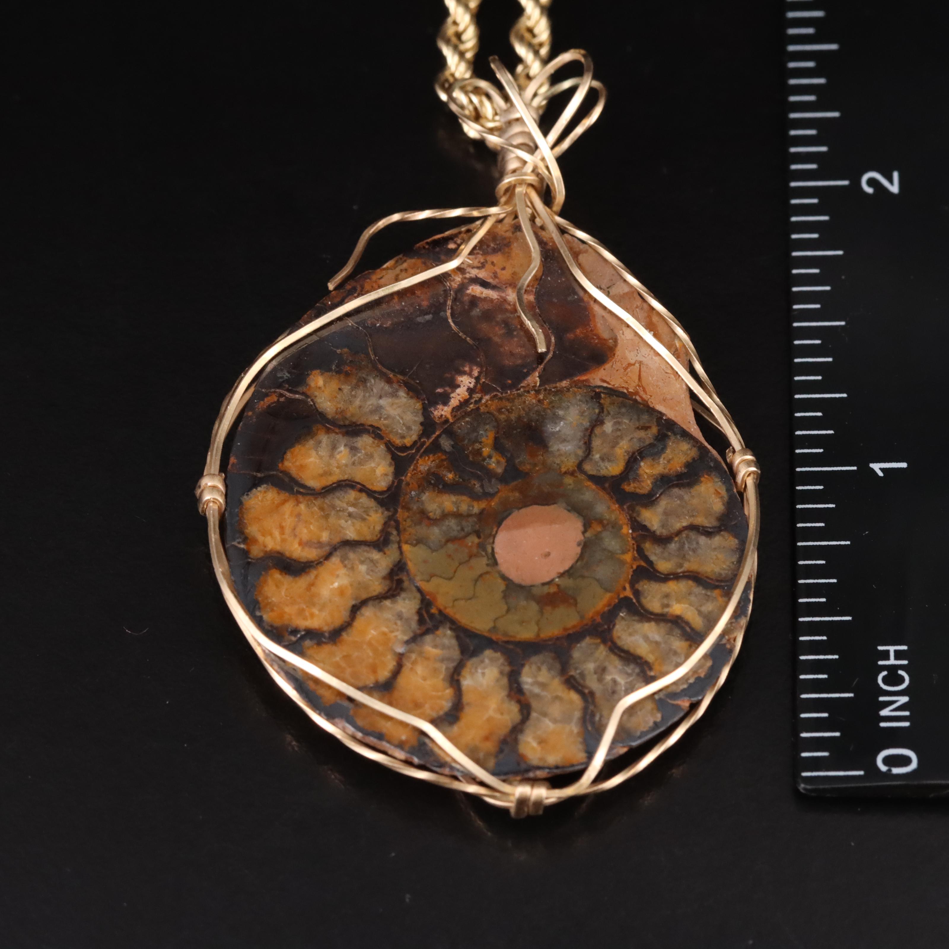 Wire Wrap Ammonite Pendant with 14K Rope Chain