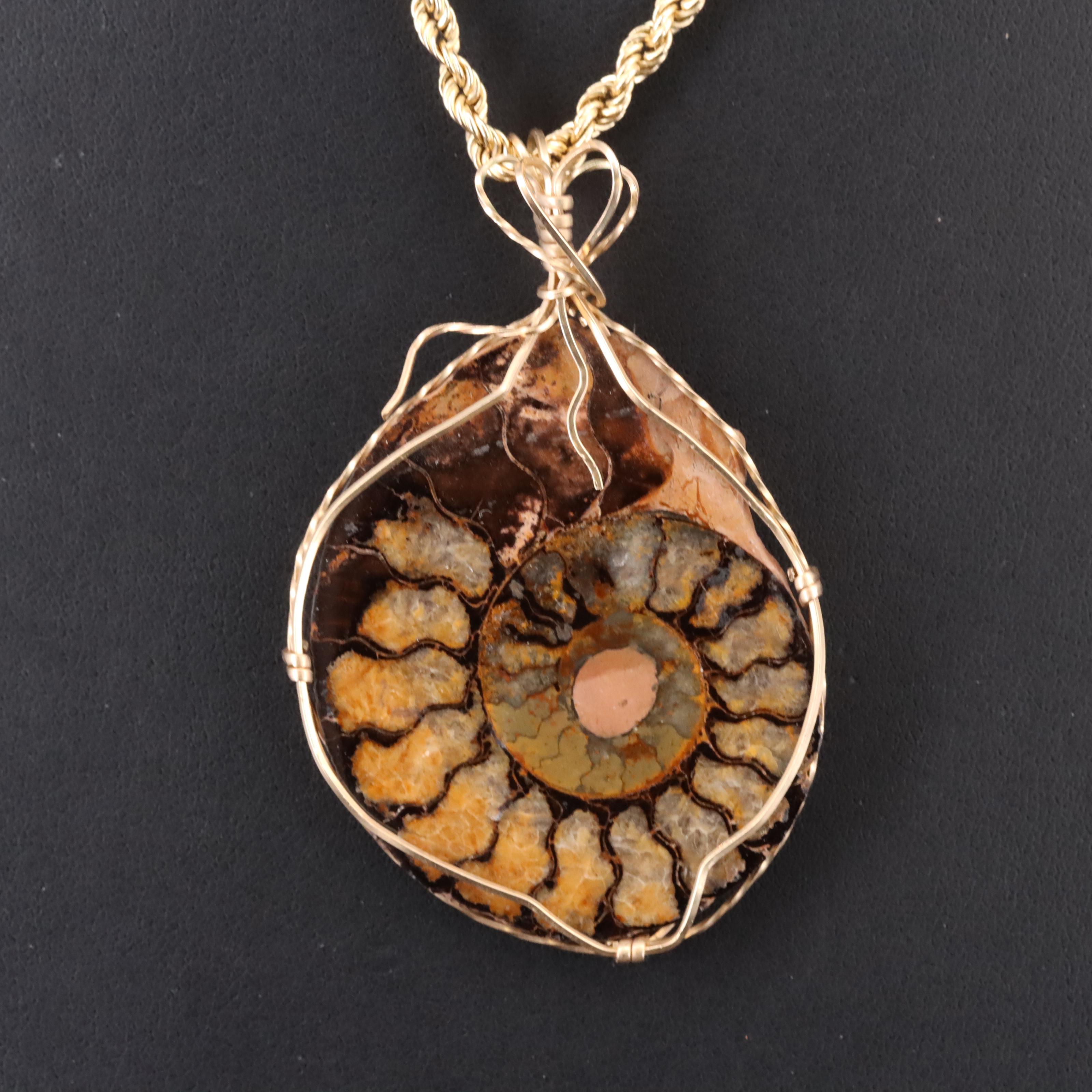 Wire Wrap Ammonite Pendant with 14K Rope Chain
