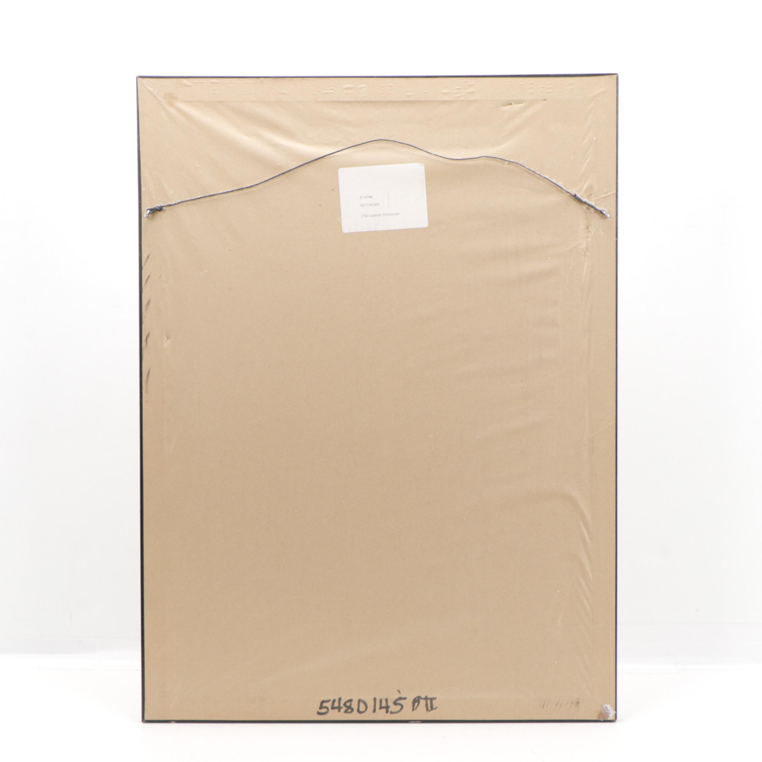 Botanical Offset Lithograph From "The Garden of Pleasant Flowers"