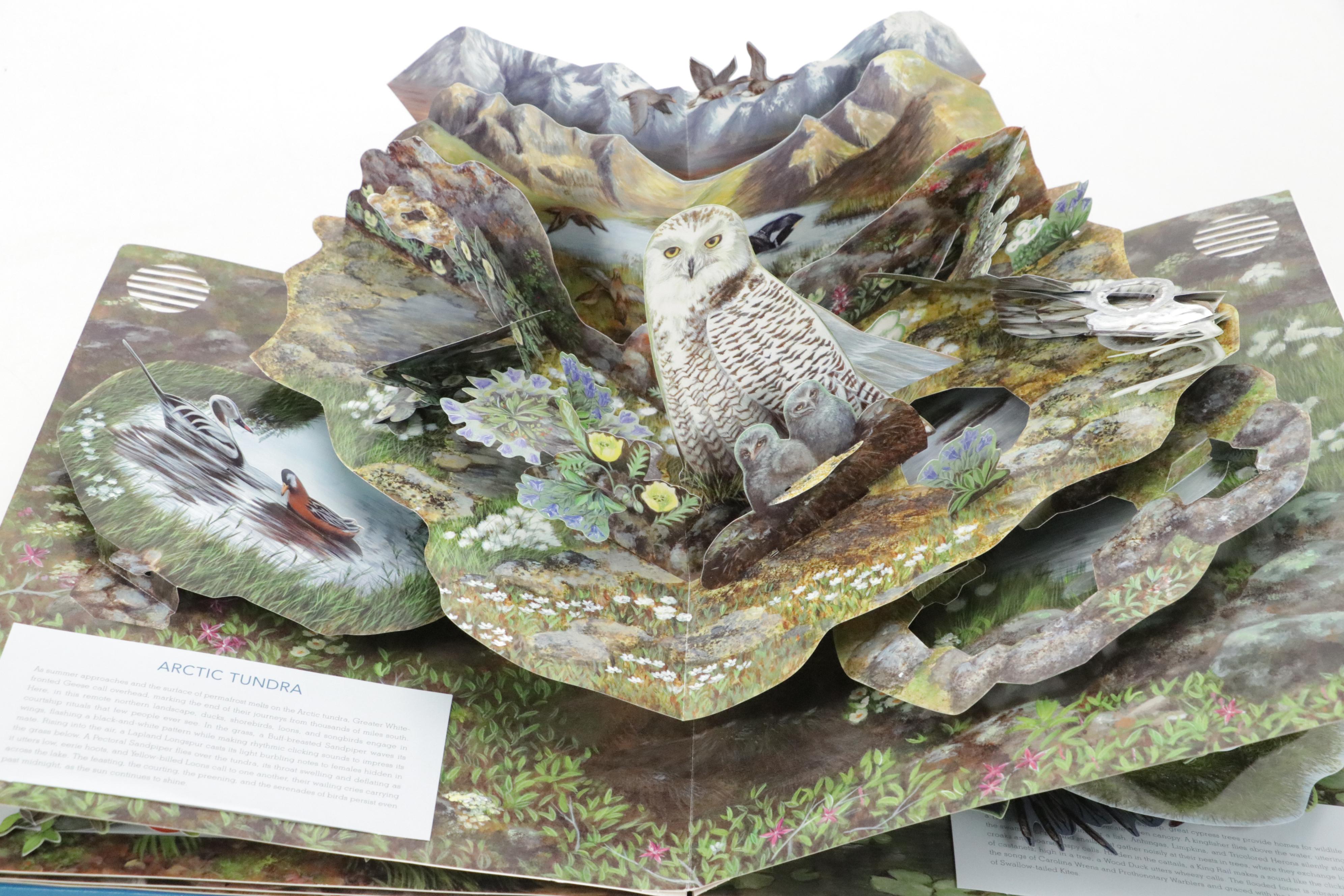 First Edition "Birdscapes" by Miyoko Chu and More Pop-Up Books