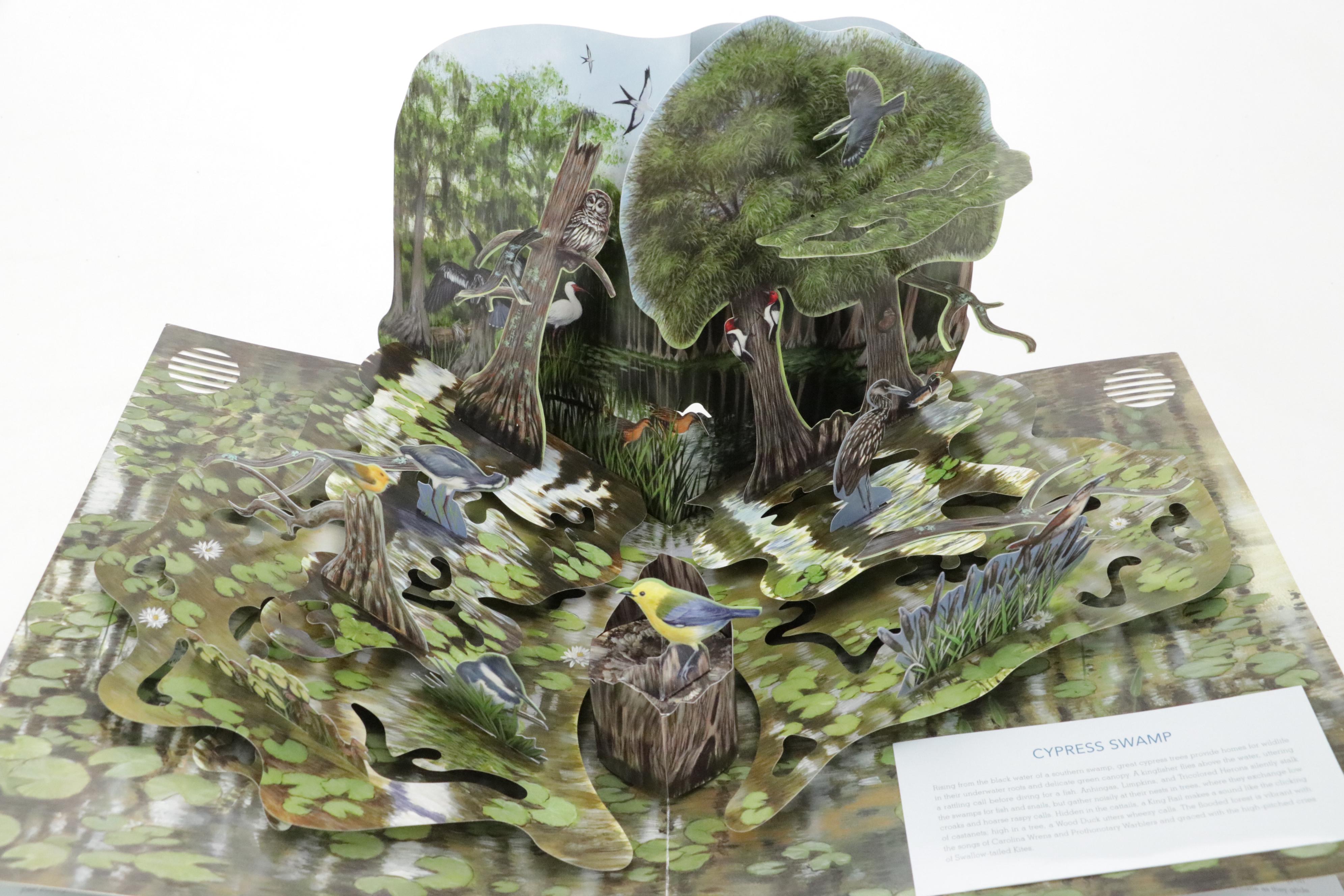 First Edition "Birdscapes" by Miyoko Chu and More Pop-Up Books