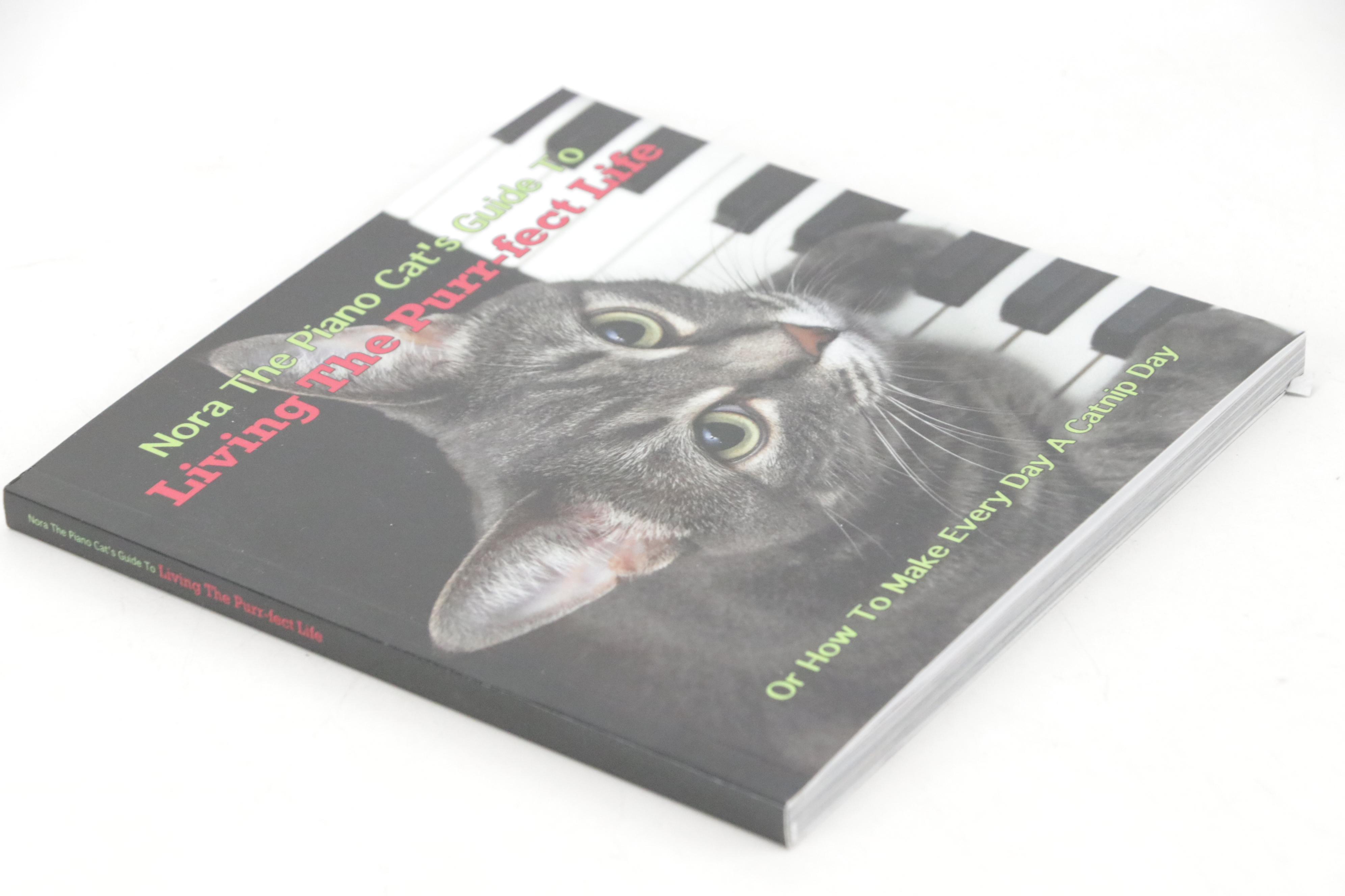 First Edition "Birdscapes" by Miyoko Chu and More Pop-Up Books