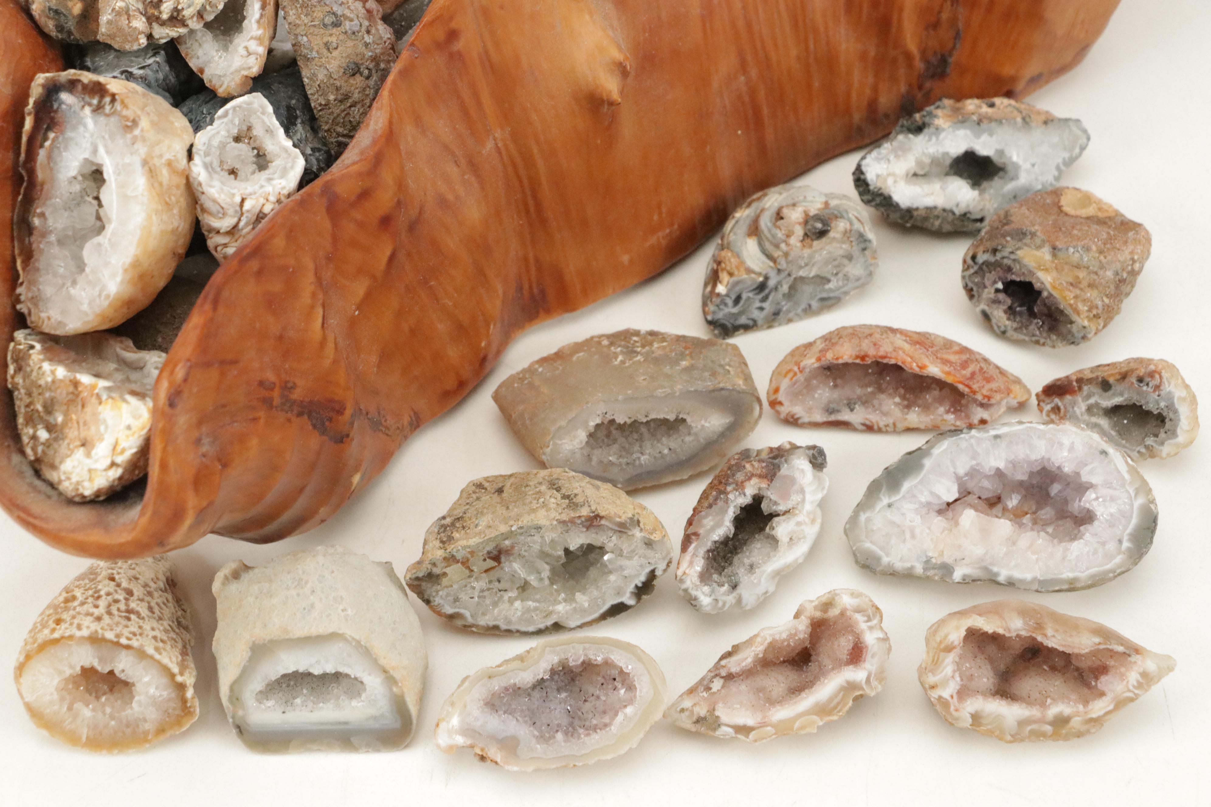 Partially Polished Sliced Geode Specimens with Burl Wood Basket