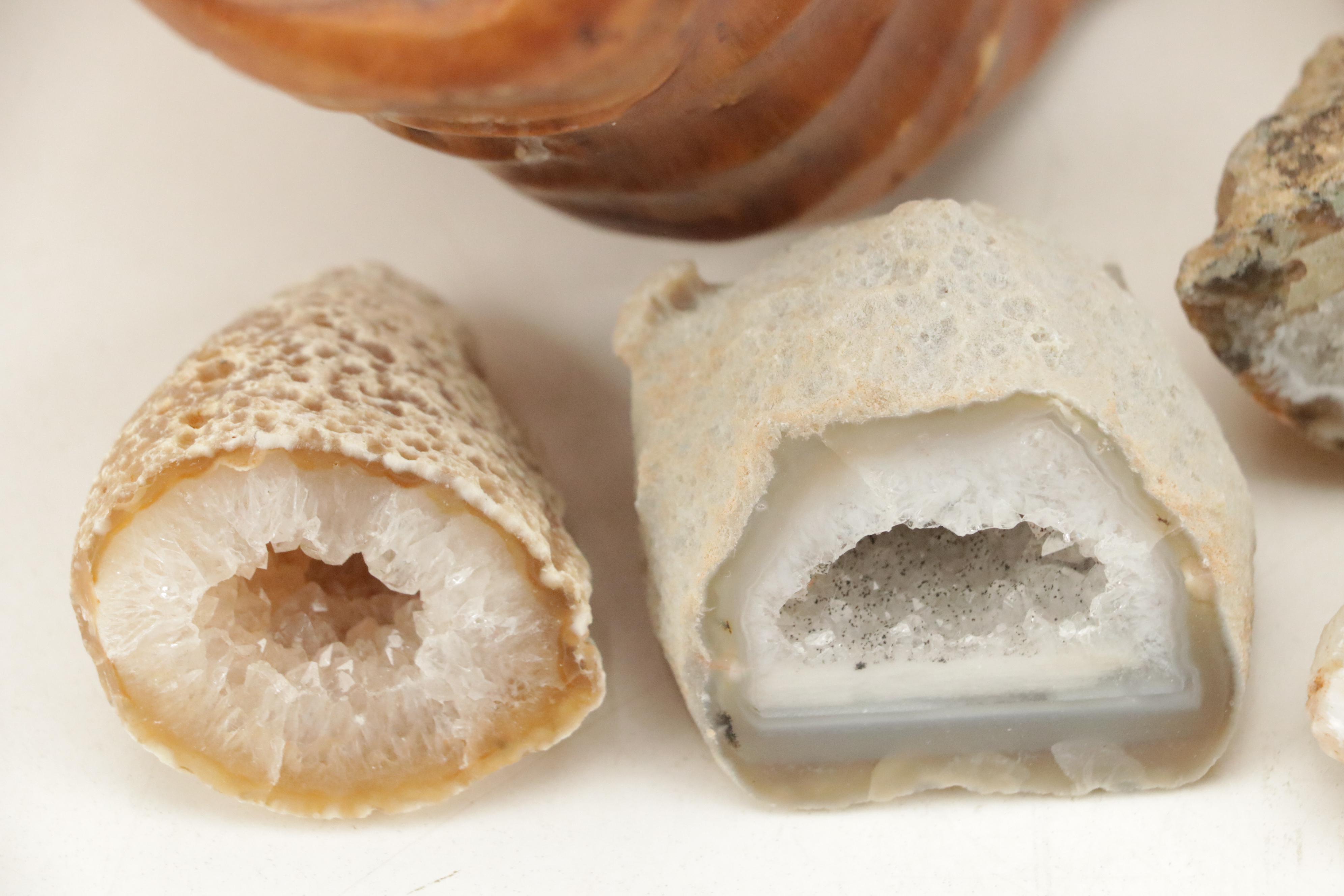 Partially Polished Sliced Geode Specimens with Burl Wood Basket