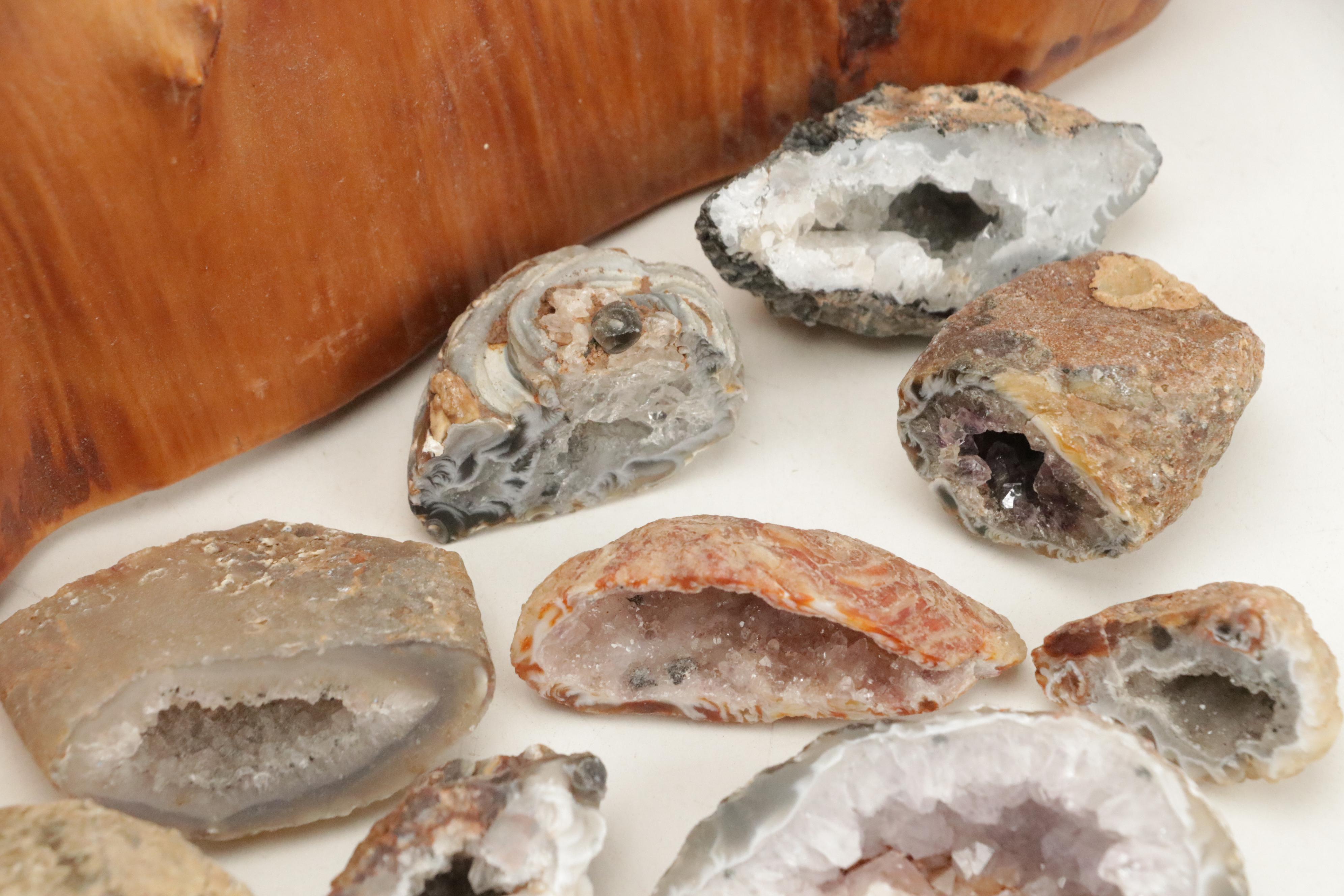 Partially Polished Sliced Geode Specimens with Burl Wood Basket