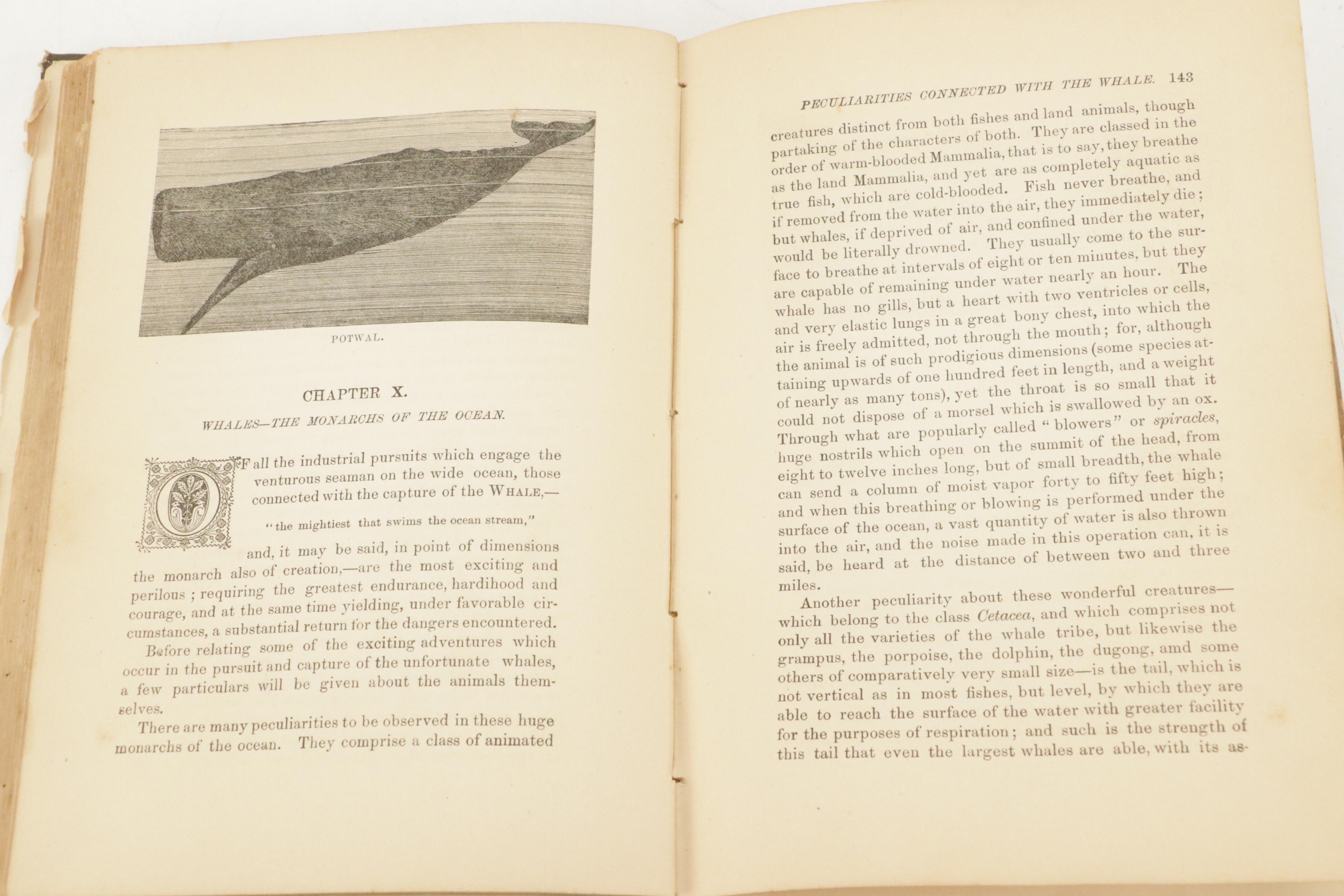 Illustrated "Manual of Geology" by James D. Dana with "The Water World"