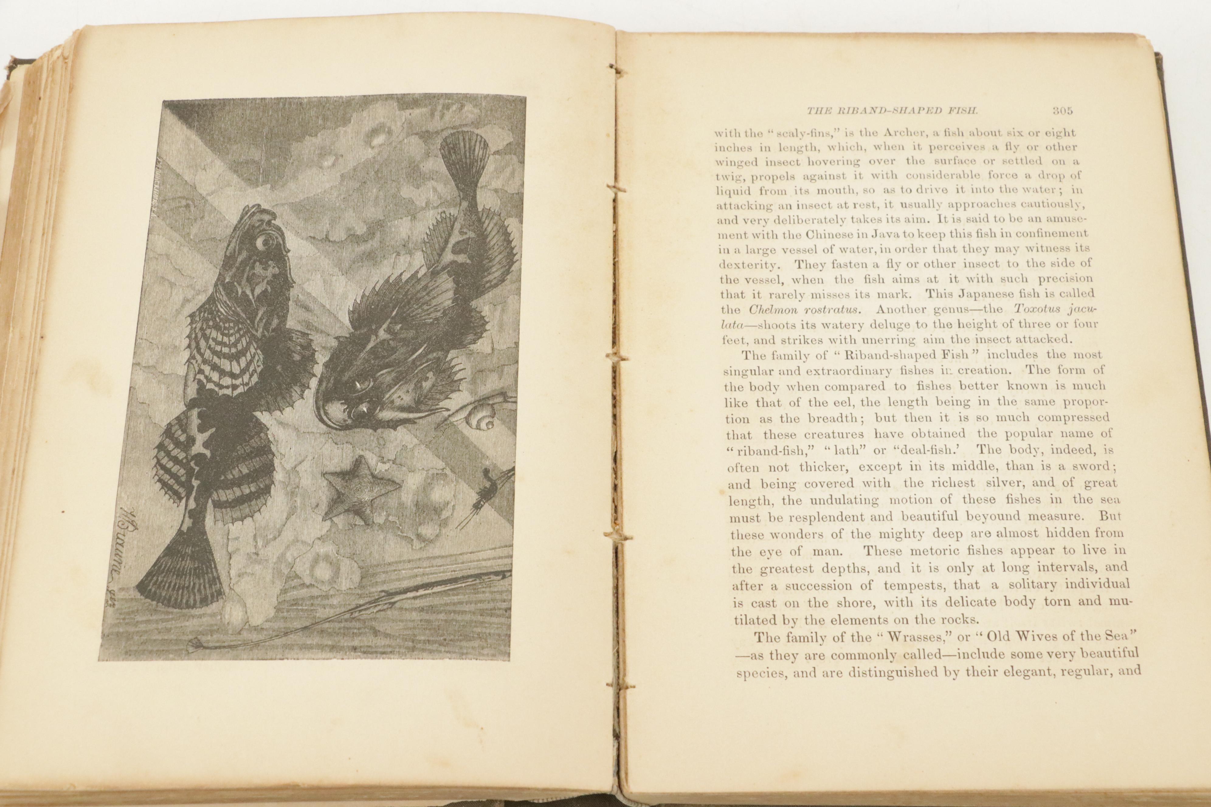 Illustrated "Manual of Geology" by James D. Dana with "The Water World"