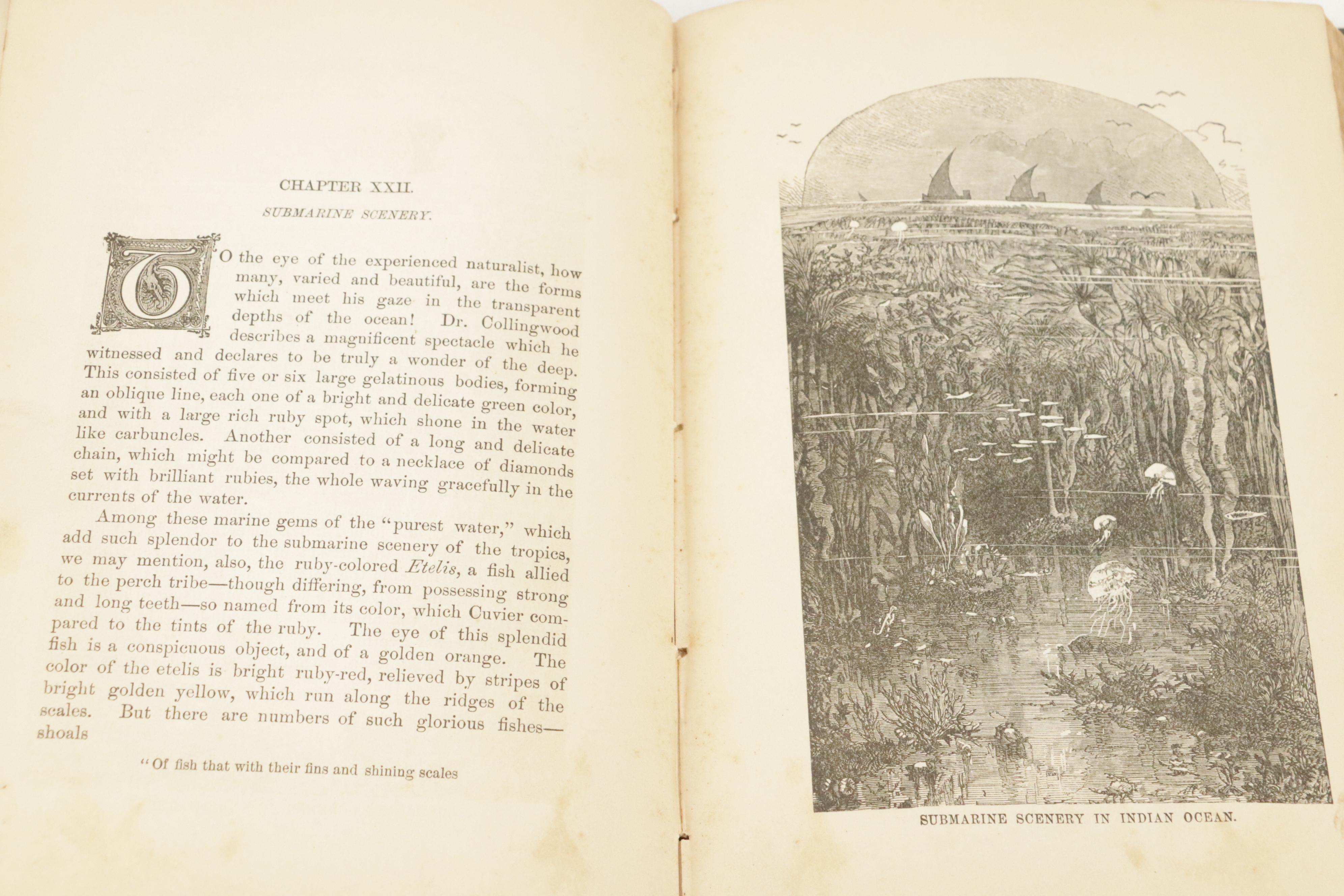 Illustrated "Manual of Geology" by James D. Dana with "The Water World"