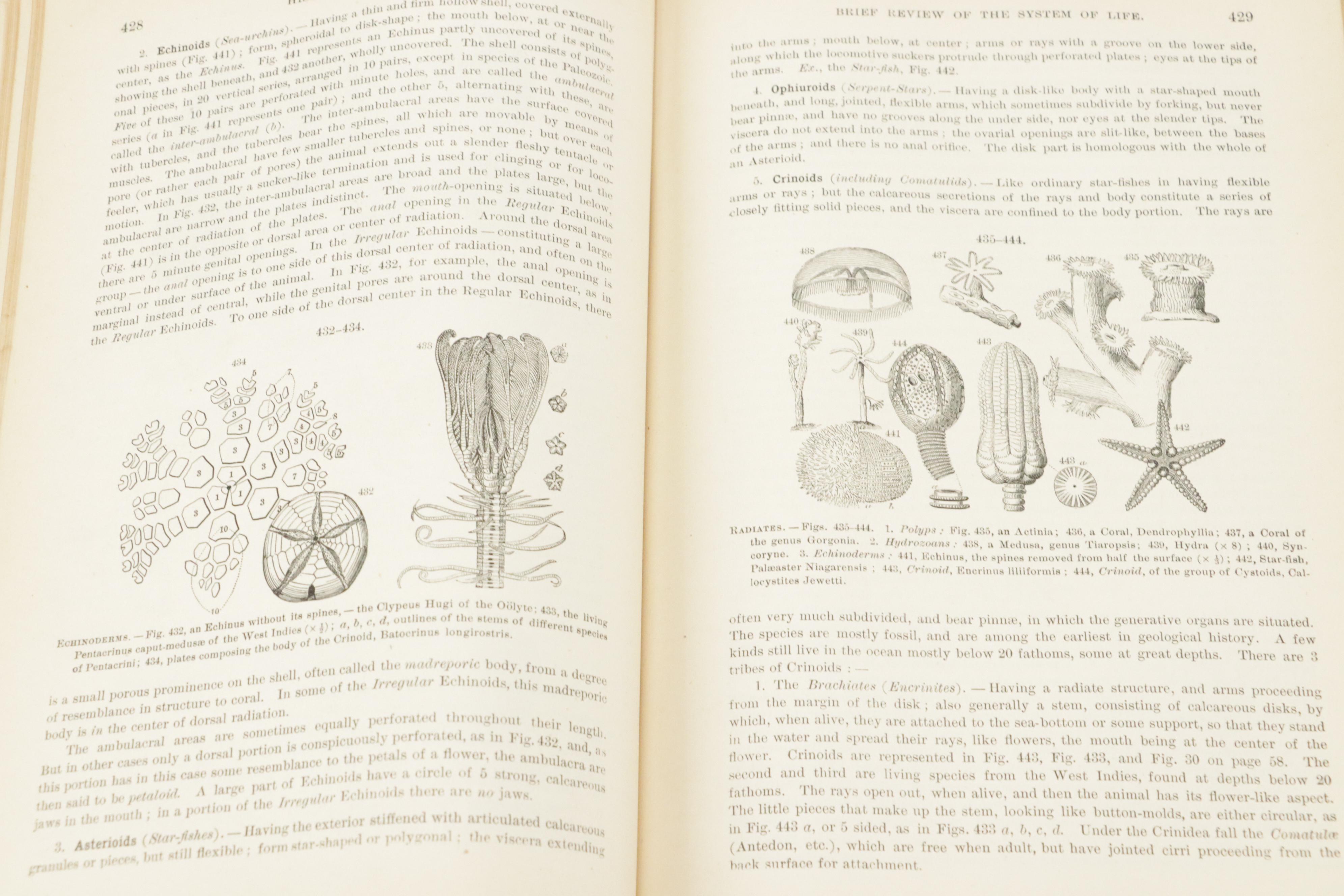 Illustrated "Manual of Geology" by James D. Dana with "The Water World"