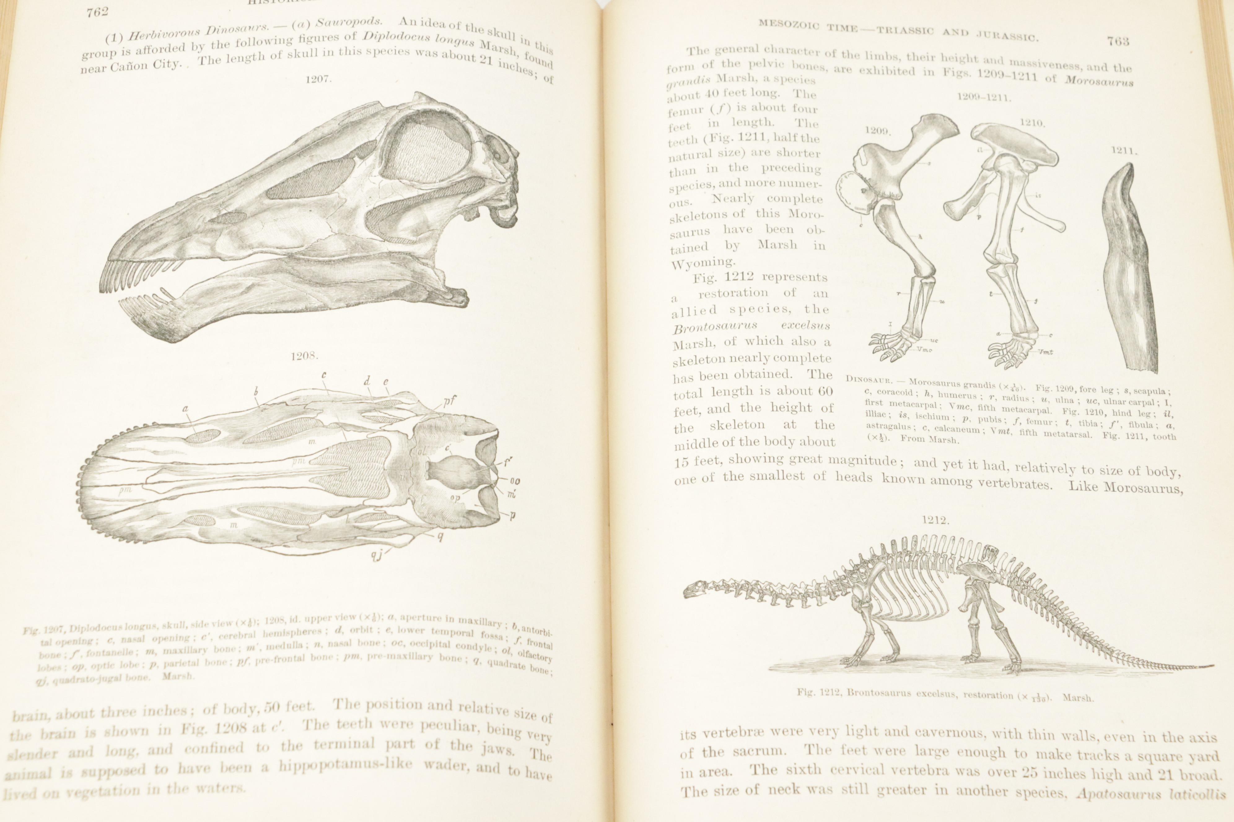 Illustrated "Manual of Geology" by James D. Dana with "The Water World"