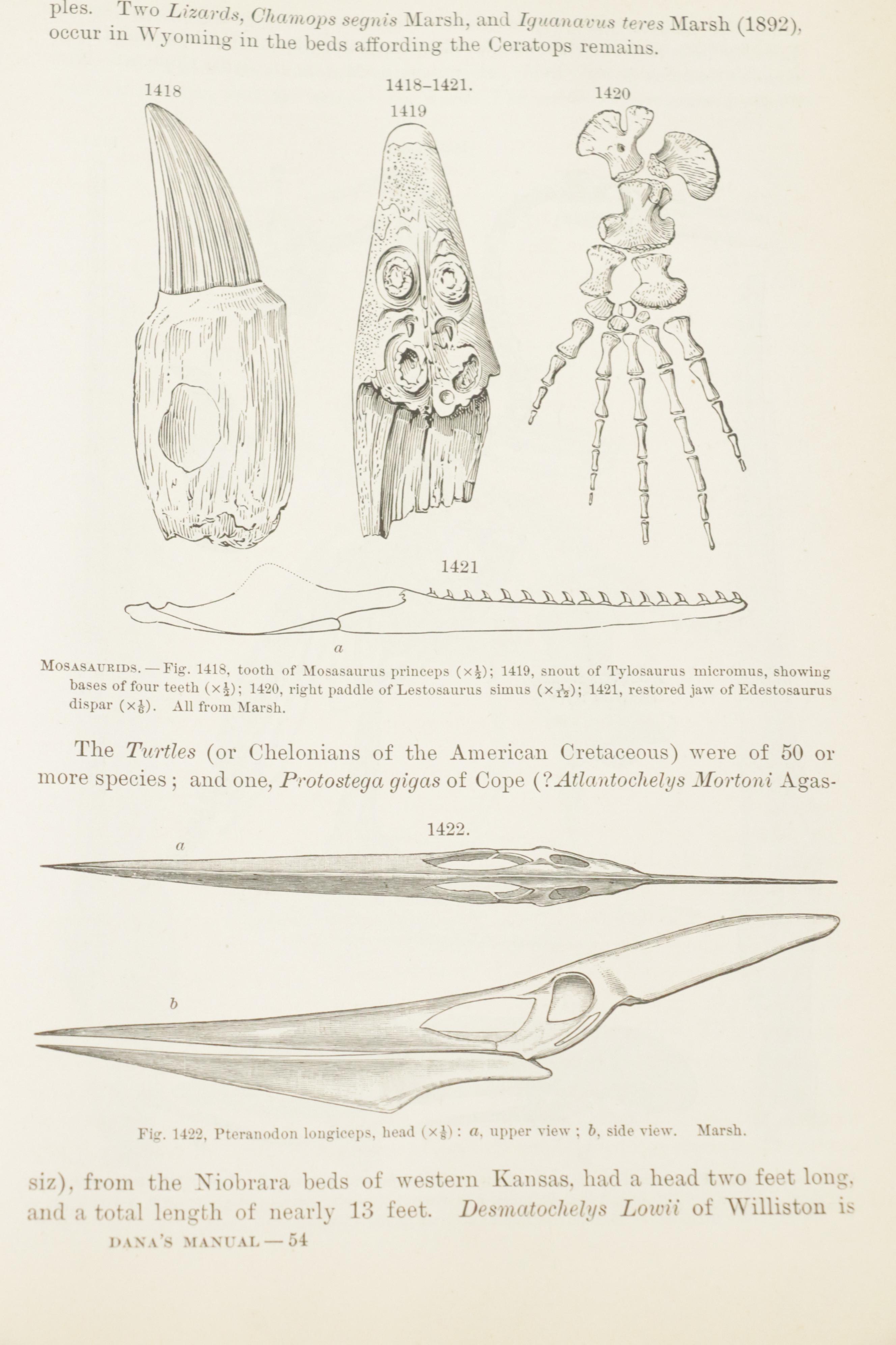 Illustrated "Manual of Geology" by James D. Dana with "The Water World"
