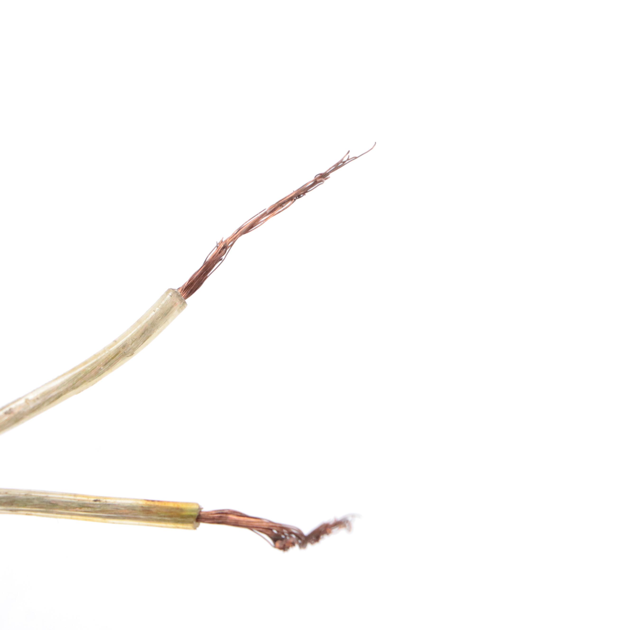 Victorian Etched Glass Panel Pendant Light, Adapted Mid-20th Century