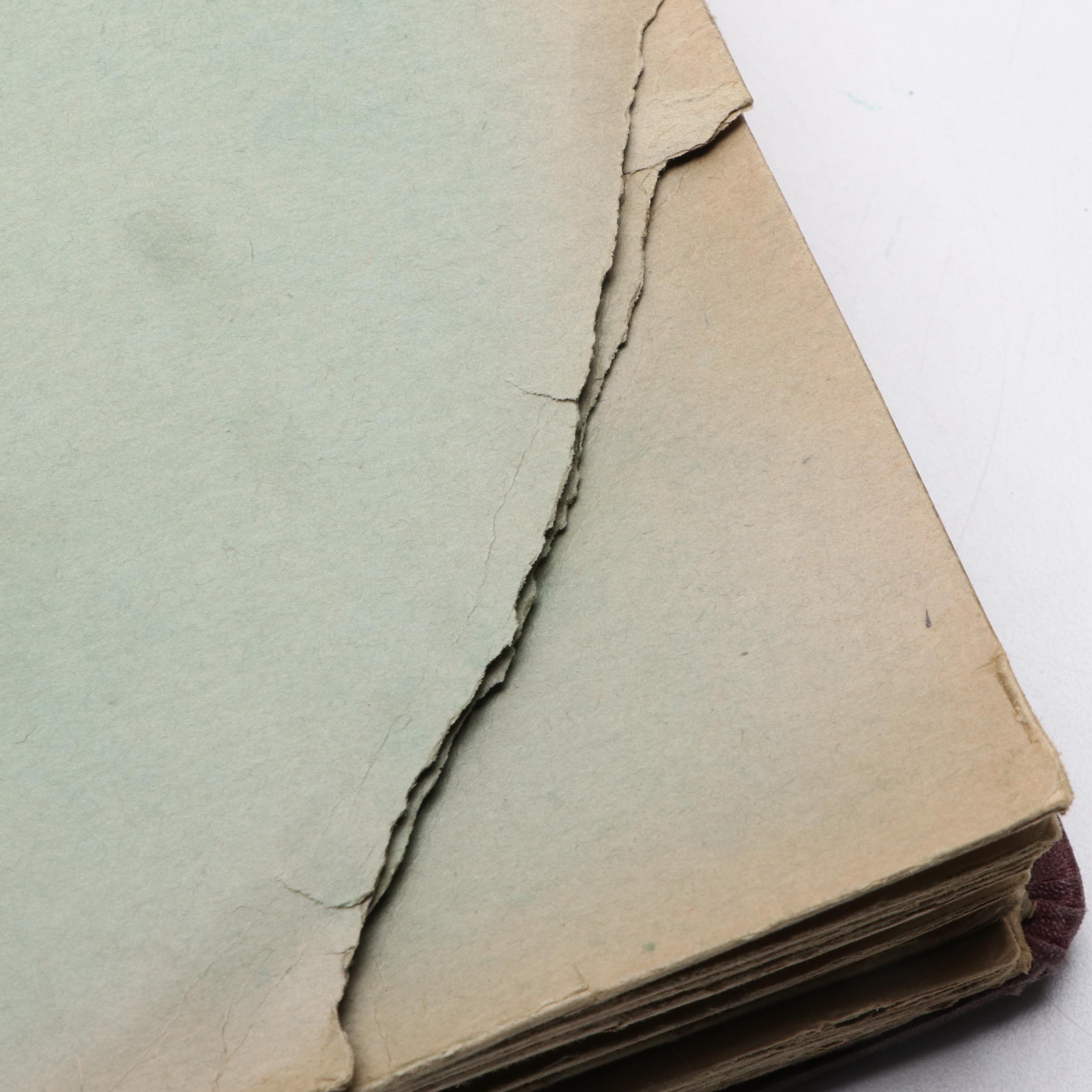 Victor-Victrola Vinyl Records in Albums, Early to Mid-20th Century