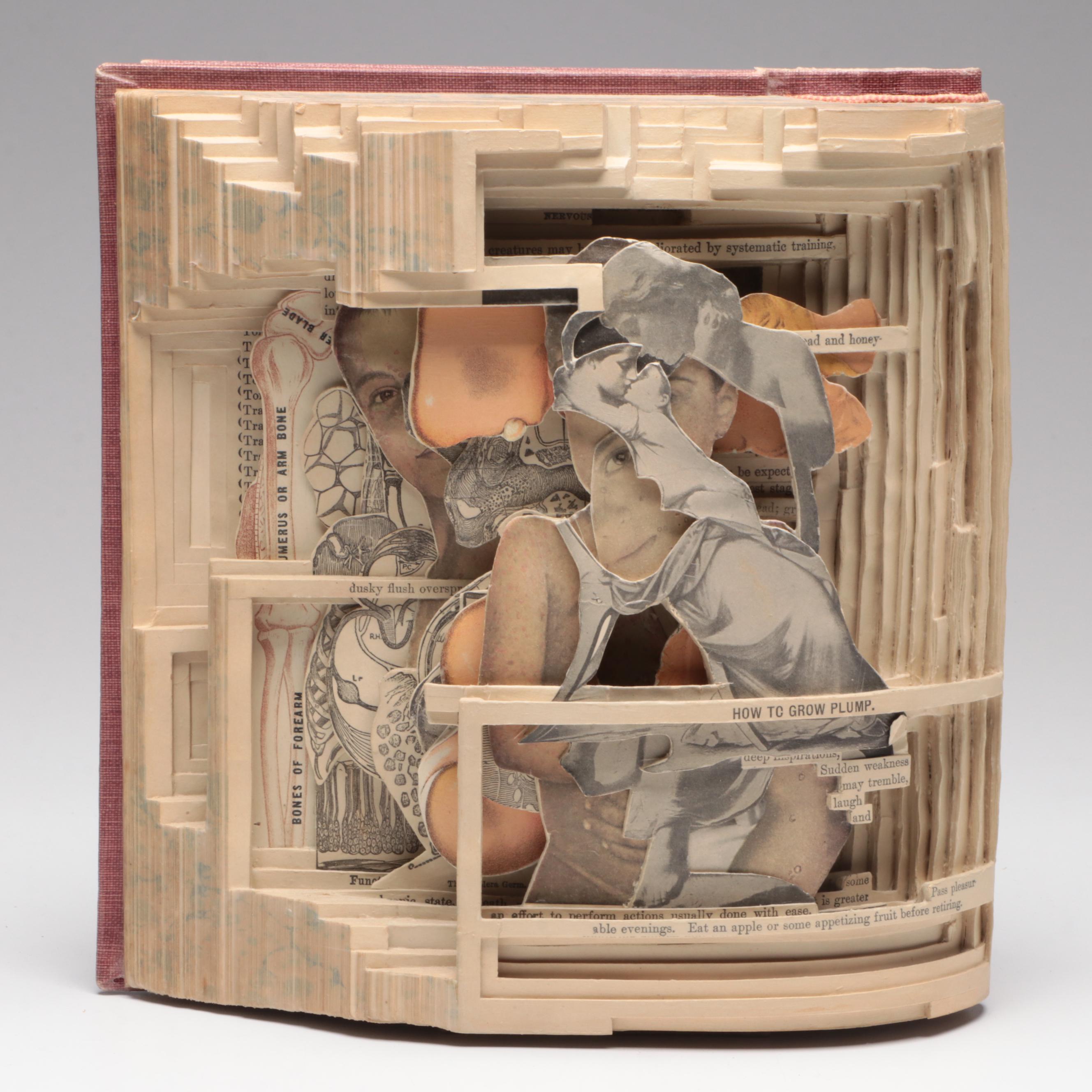 Brian Dettmer Altered Book Sculpture "Household Advertiser," 2011