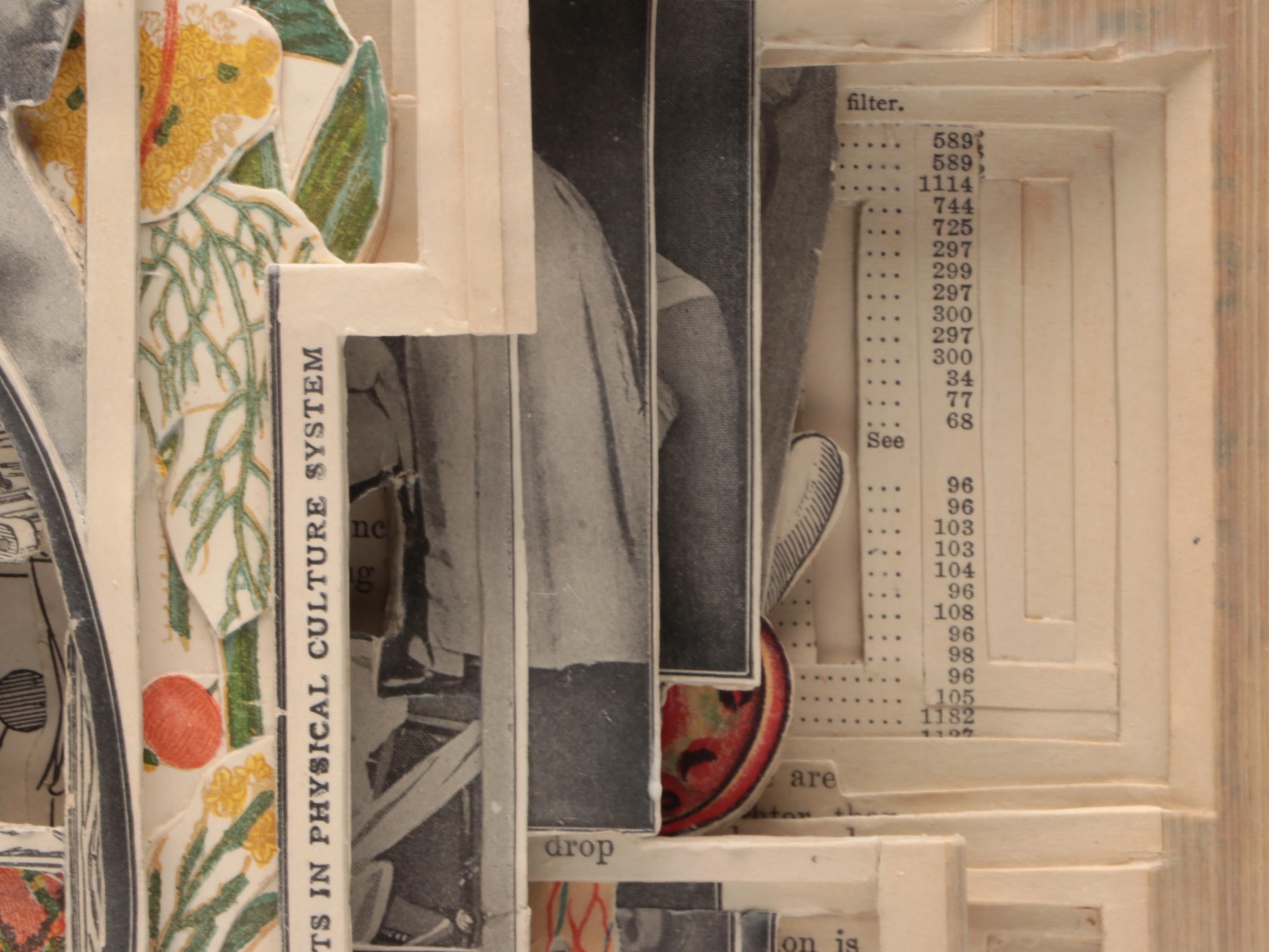 Brian Dettmer Altered Book Sculpture "Household Advertiser," 2011