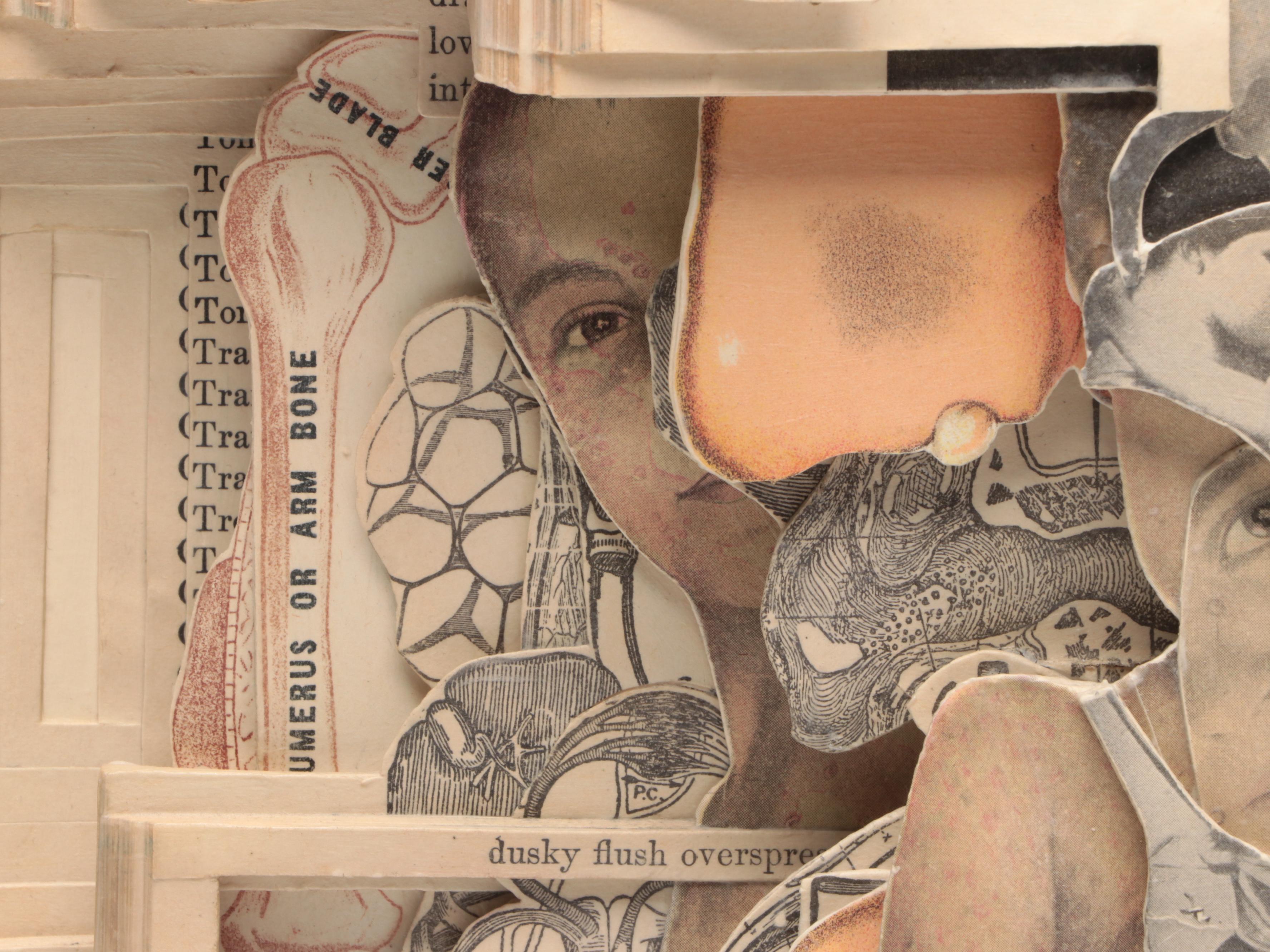 Brian Dettmer Altered Book Sculpture "Household Advertiser," 2011