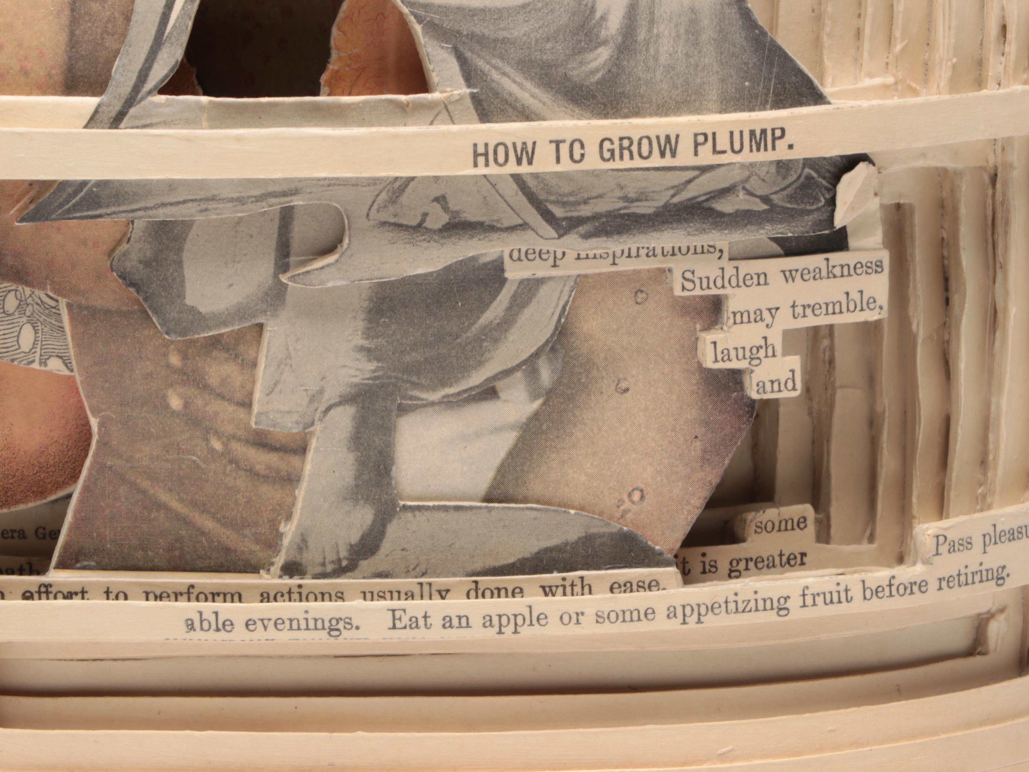 Brian Dettmer Altered Book Sculpture "Household Advertiser," 2011