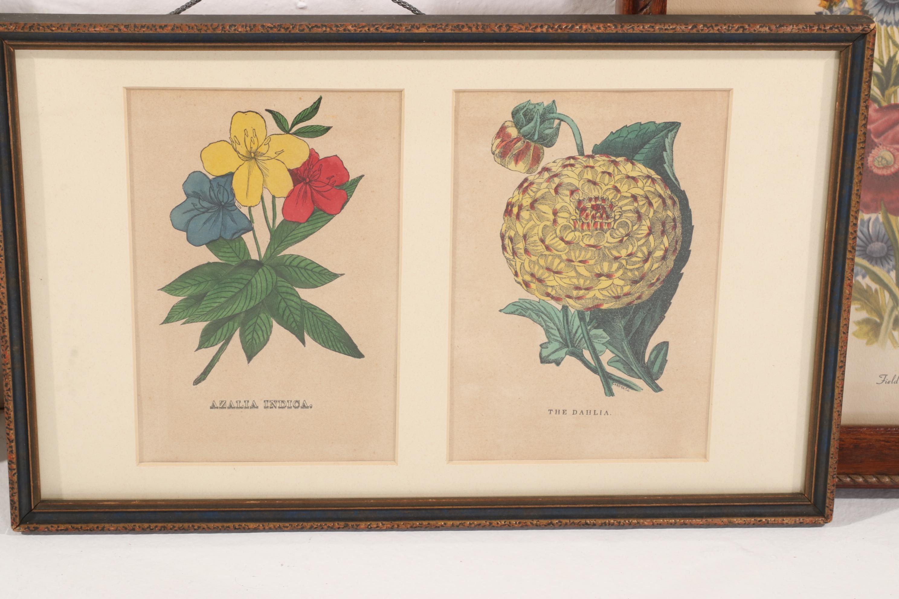 Victorian Style Wall Mirrors With  and Portrait and Botanical Prints