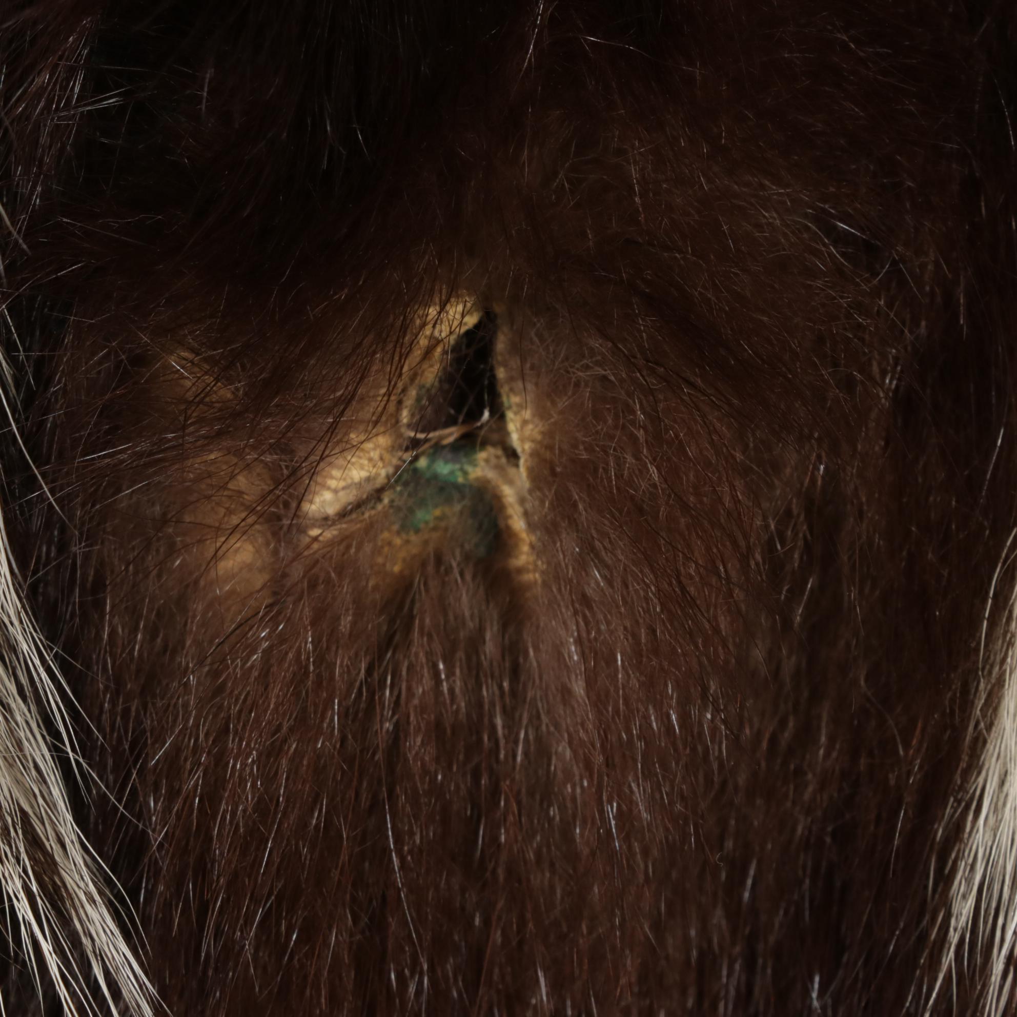 Zorina (Skunk) Fur Coat