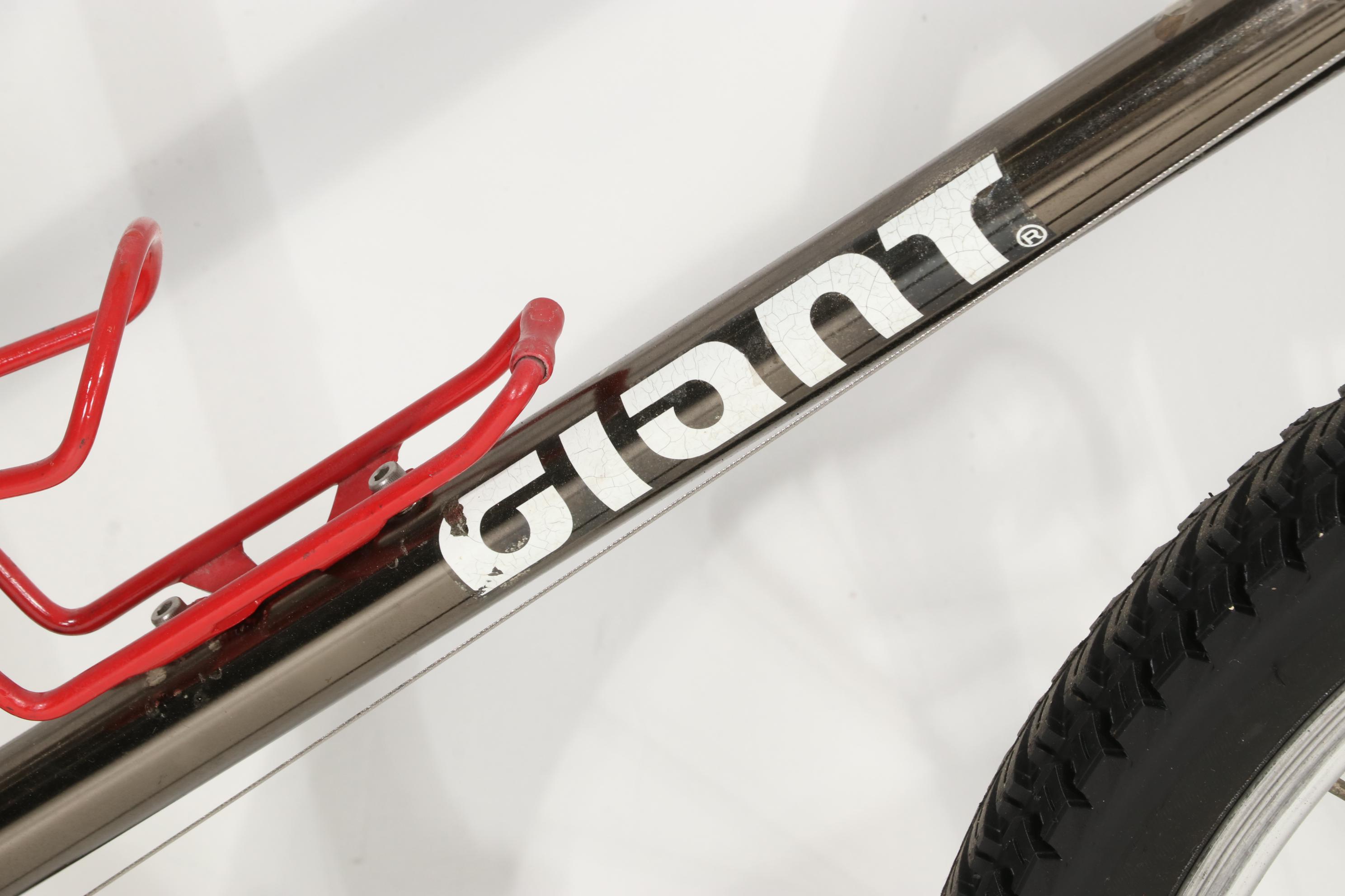 Giant "Iguana" 18-Speed Bicycle