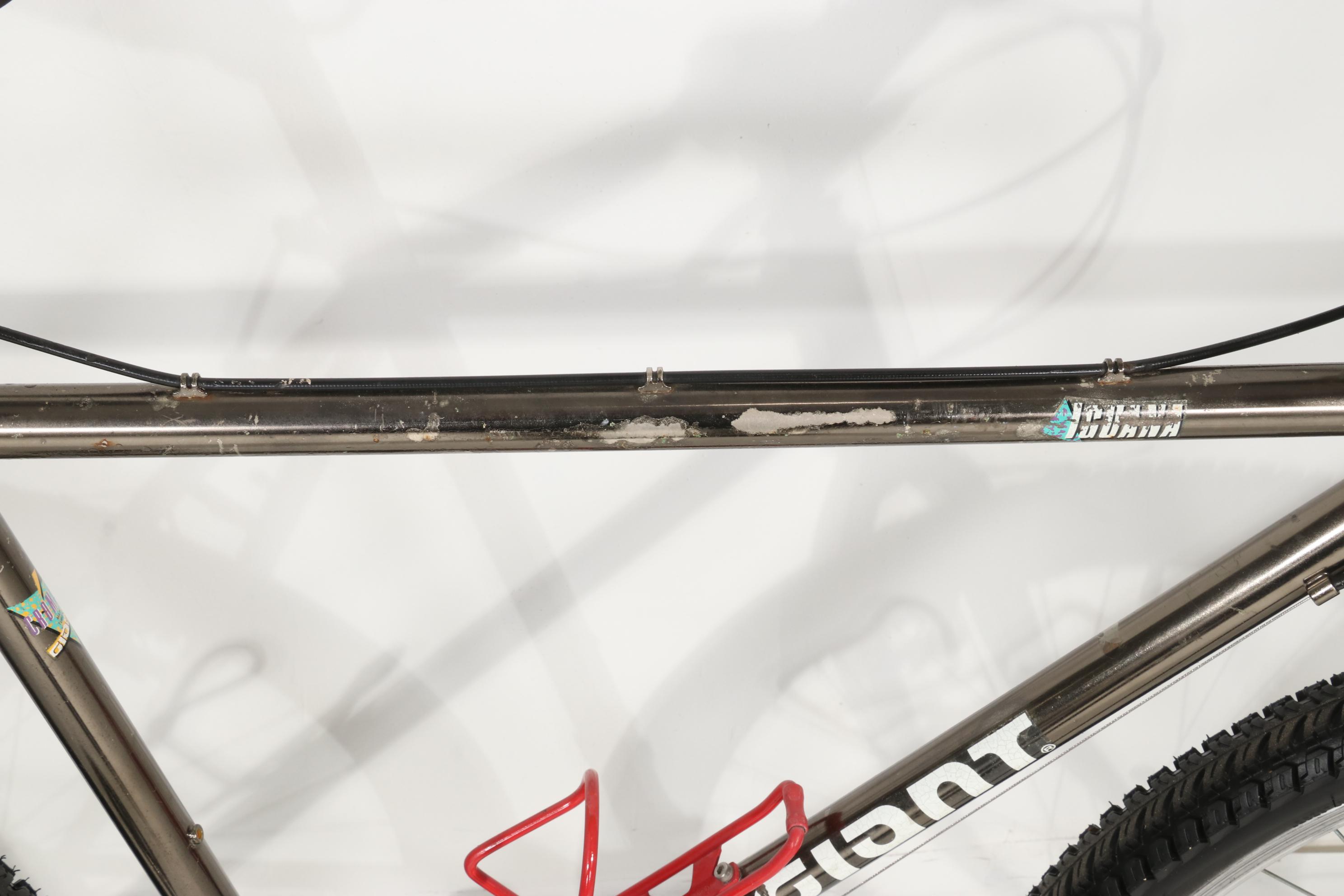 Giant "Iguana" 18-Speed Bicycle