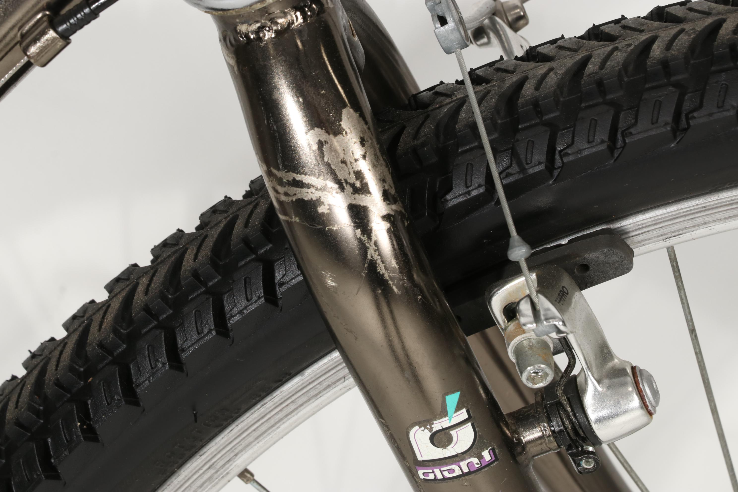 Giant "Iguana" 18-Speed Bicycle