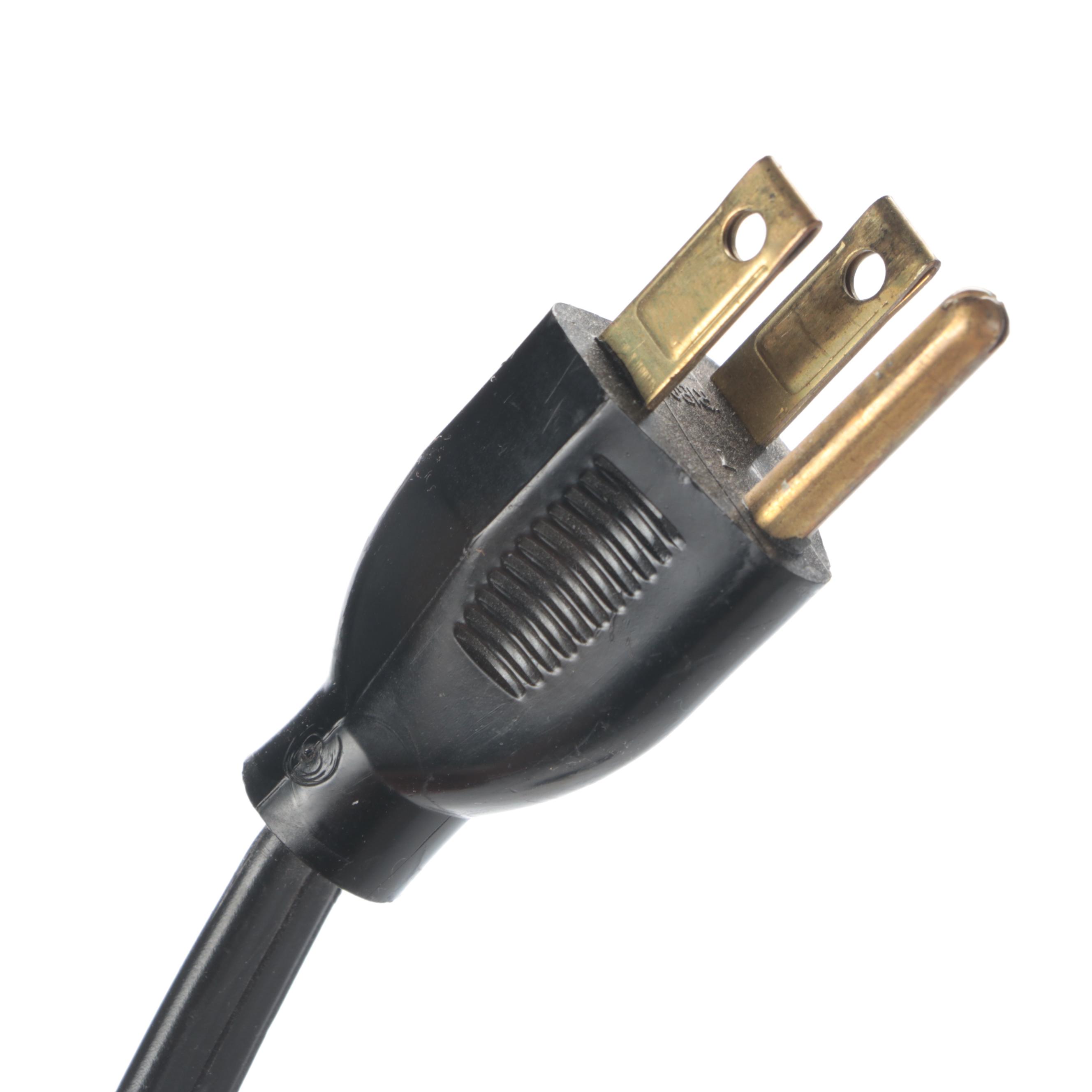 Hollywood Custom Neon Palm Tree Neon Sign