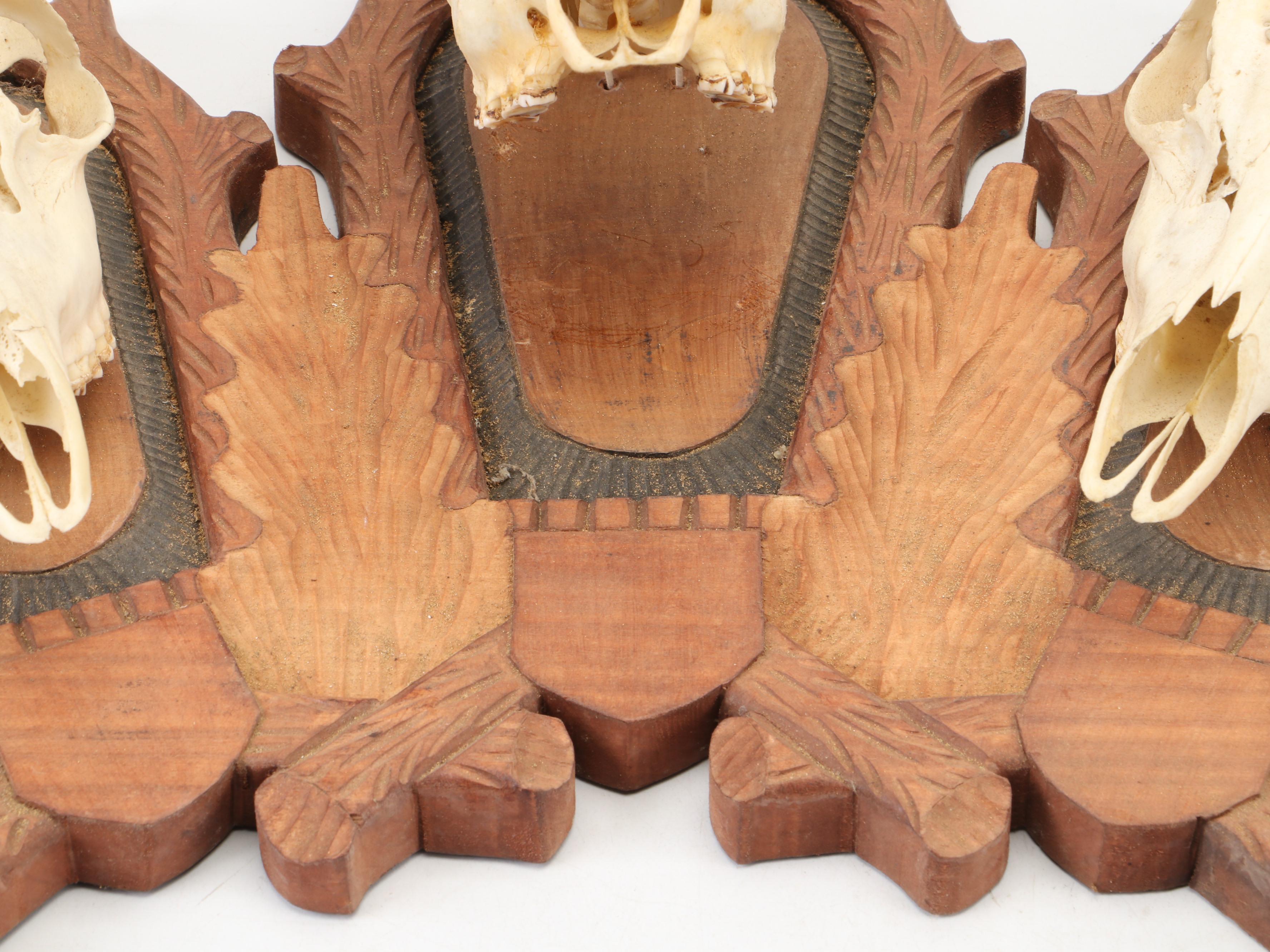 Taxidermy Black Forest Roe Stags in European Mount