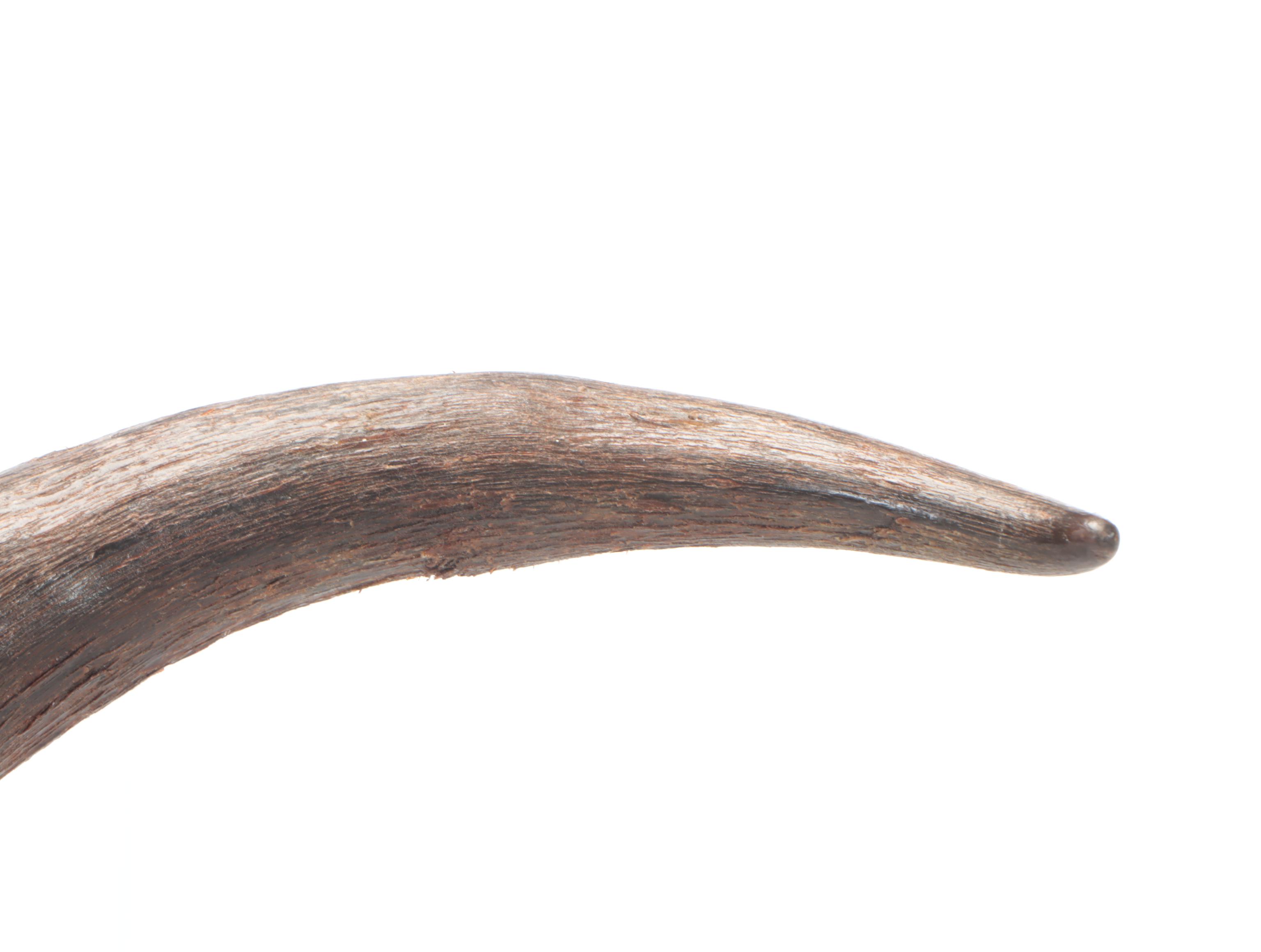 Mold Cast Bacchus With Goat Horns Wall Hanging